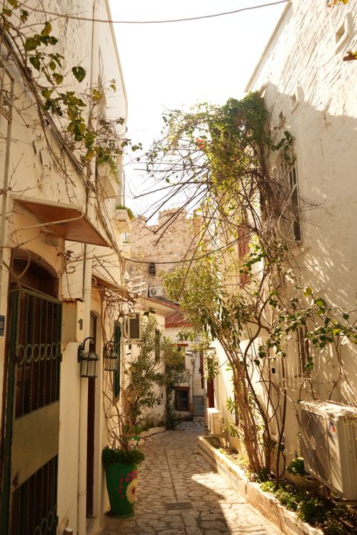 Free Sunlit alley with stone path and vines in Old Town Marmaris, showcasing rustic Turkish architecture. Stock Photo