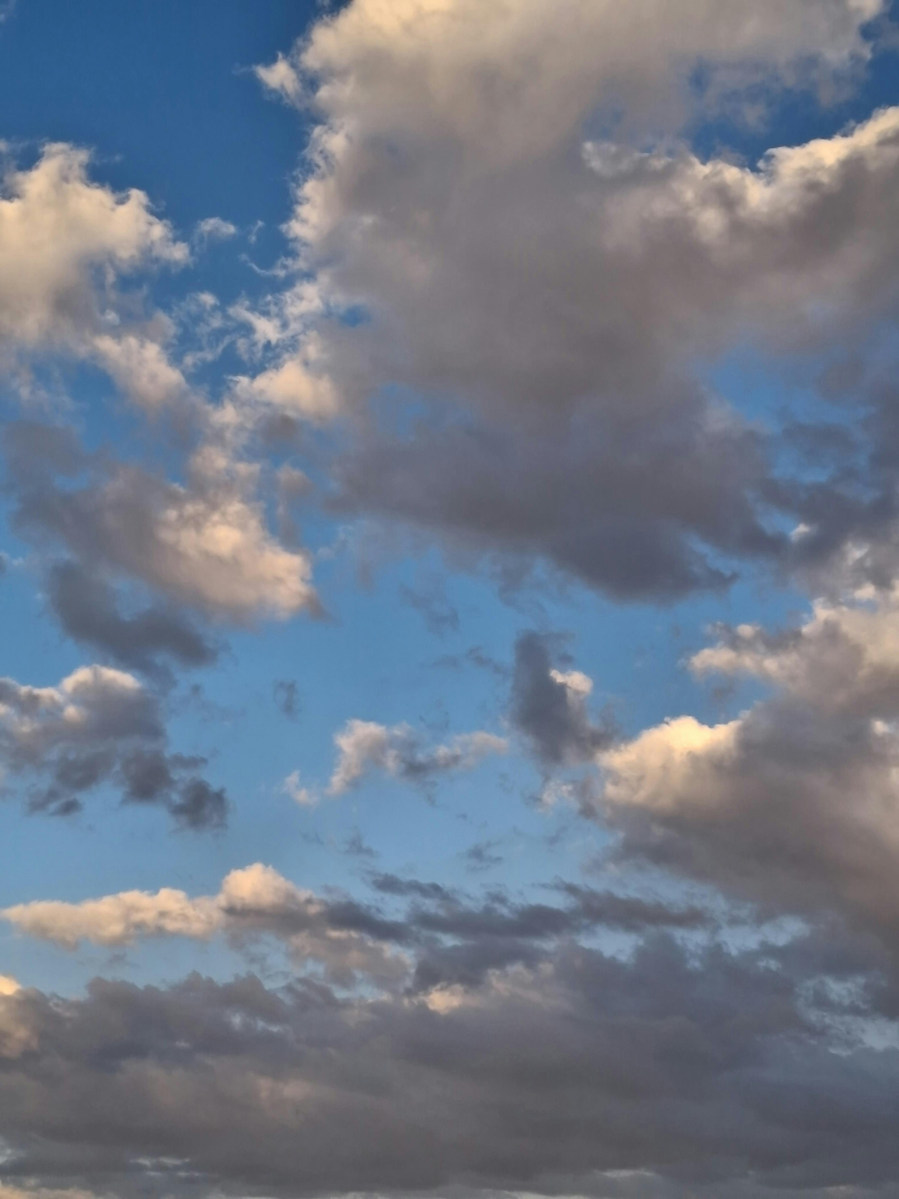 Gratis Splendido cielo nuvoloso con soffici formazioni e tenui tonalità del tramonto. Foto a disposizione