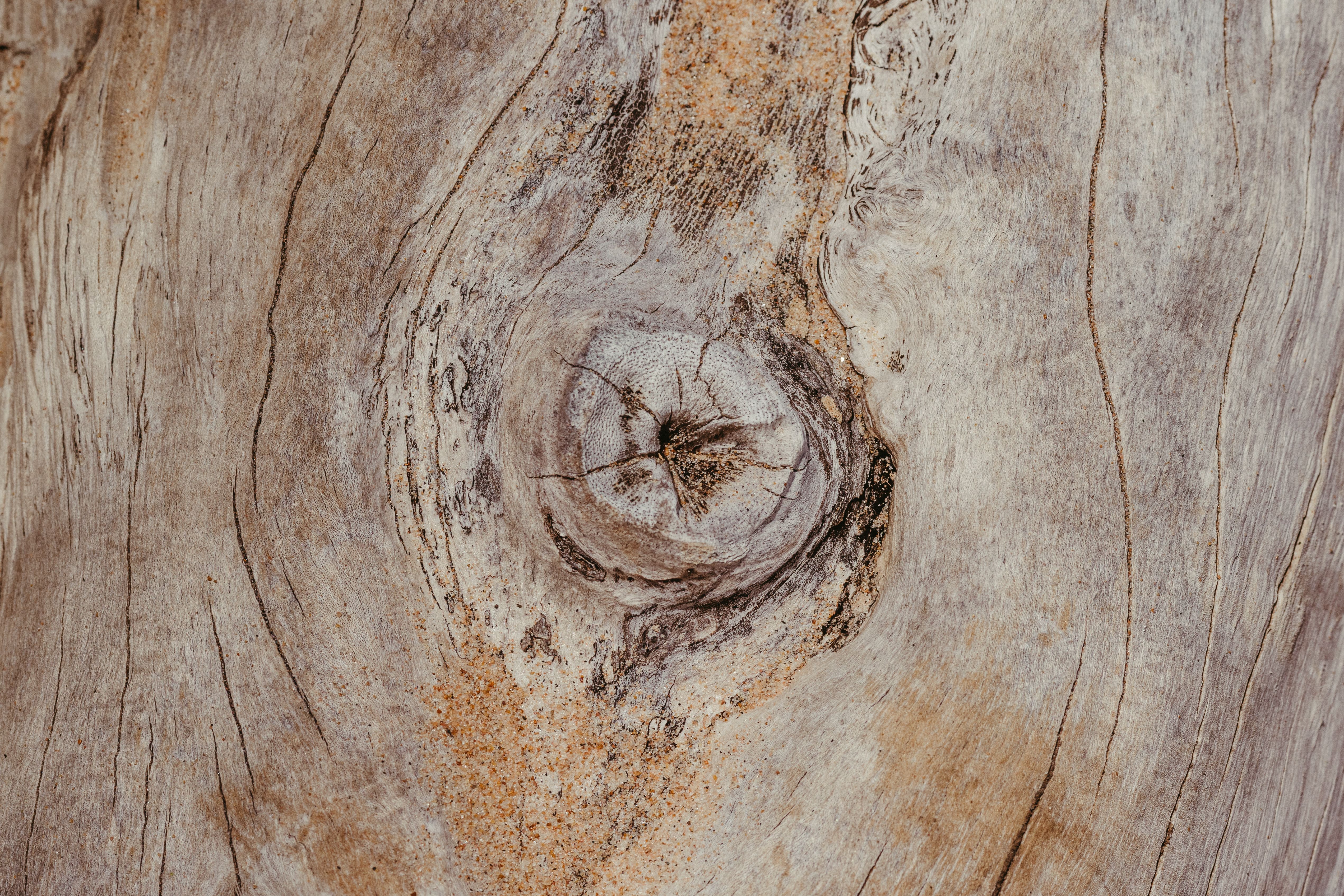 Wandbild aus verschiedenen Holzfurnieren