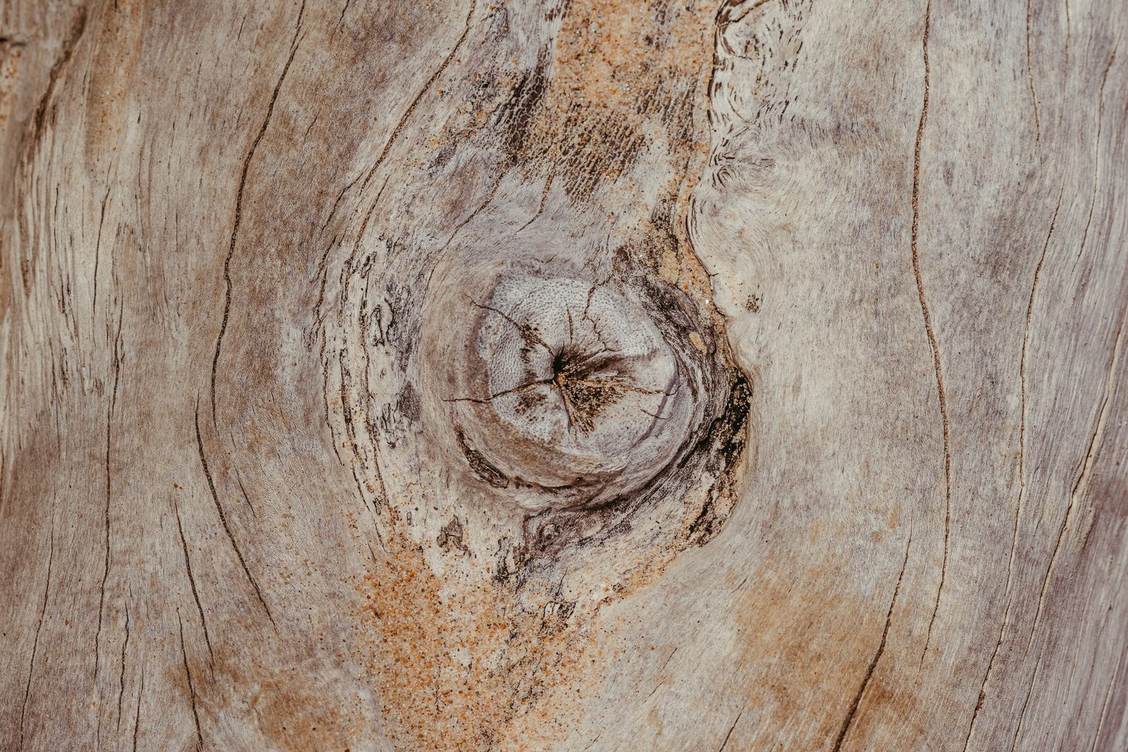 Detailed view of natural wood knots and grain, perfect for backgrounds.