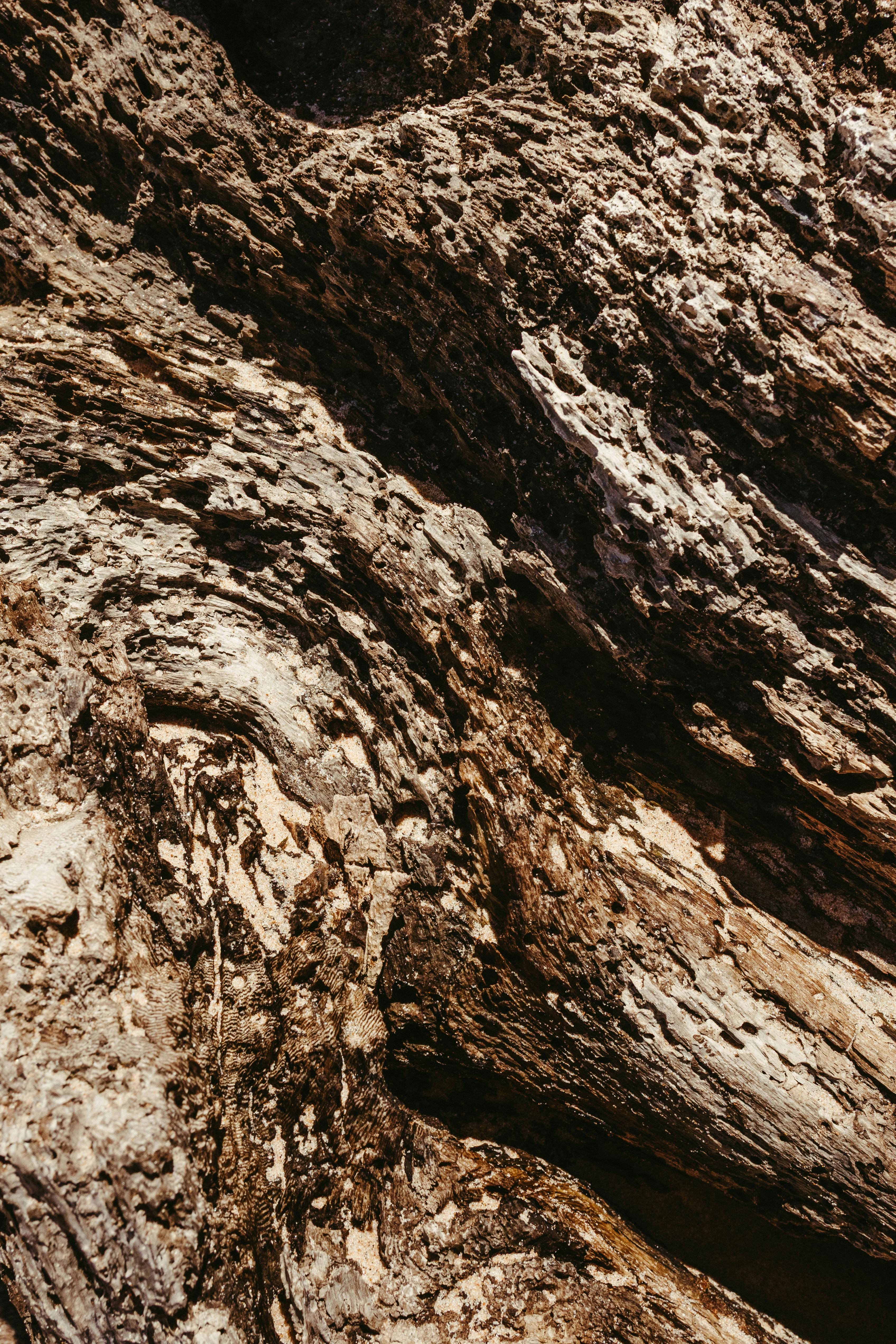 Gratuit Explorează detaliile complexe ale straturilor de rocă erodate, prezentând textura naturală și tonurile pământii. Fotografie de stoc