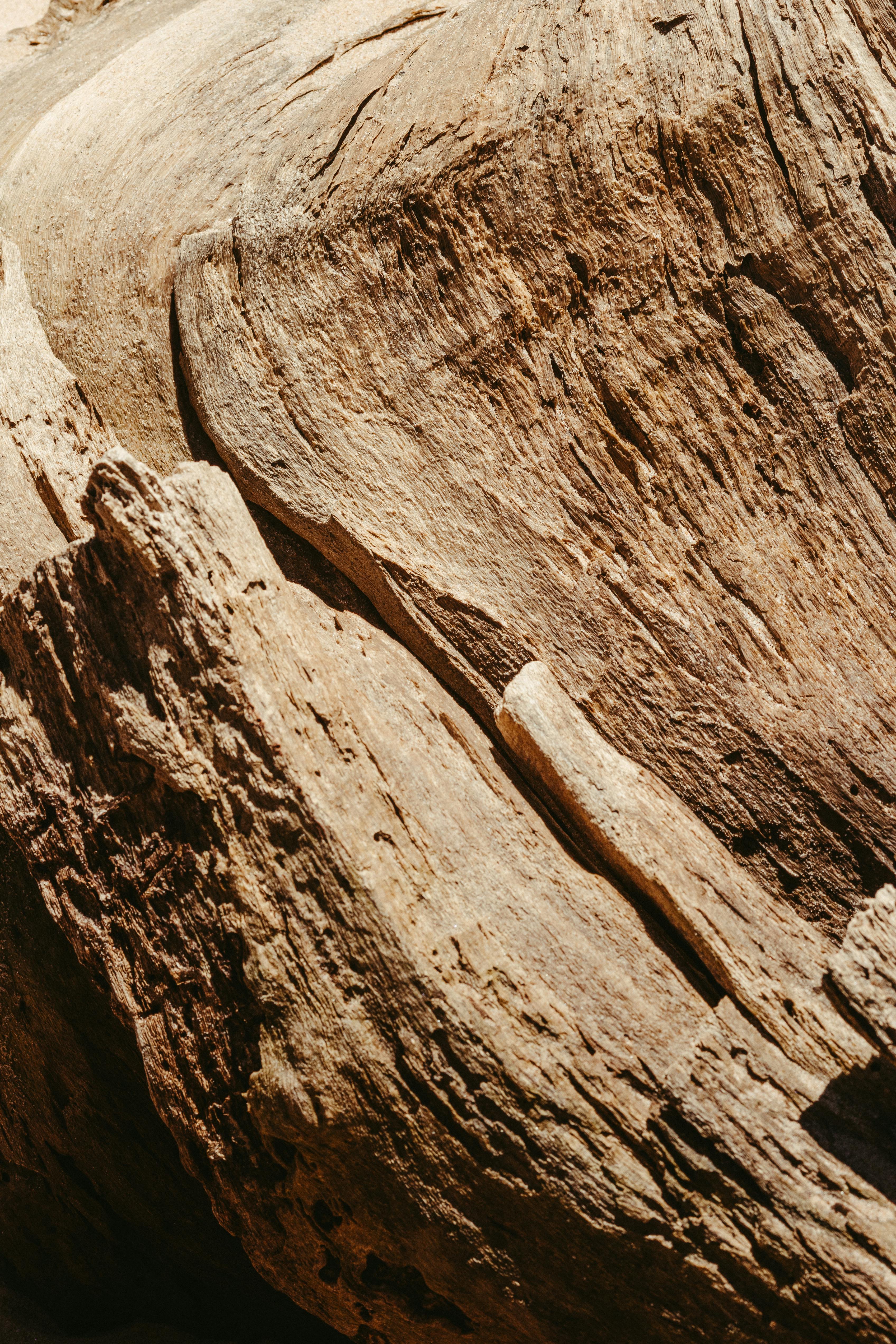 Gratis Una vista ravvicinata di una formazione rocciosa di arenaria strutturata che mostra motivi erosi Foto a disposizione