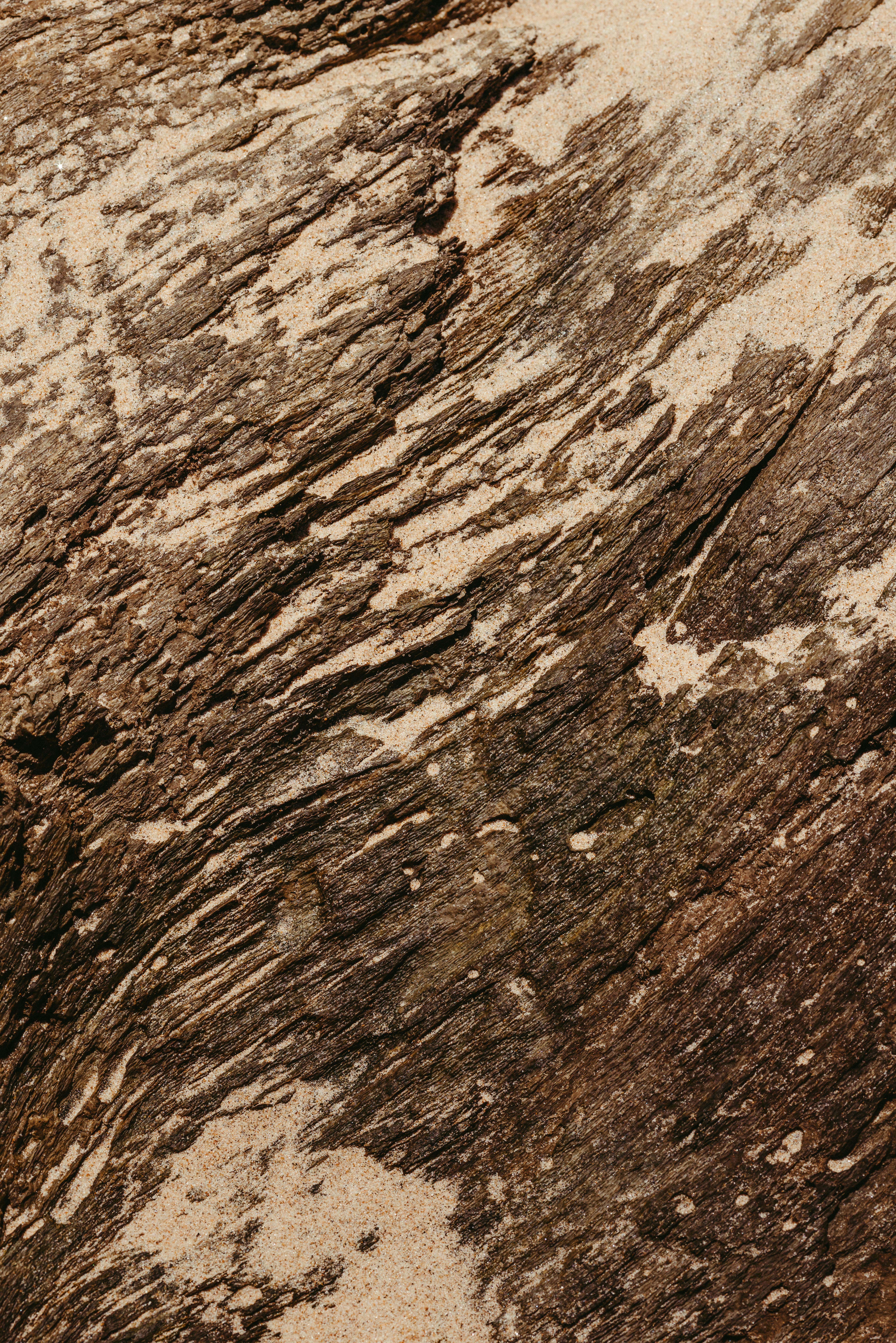 Gratis Primo piano della superficie ruvida di una roccia che mette in risalto le texture naturali e i colori terrosi. Foto a disposizione