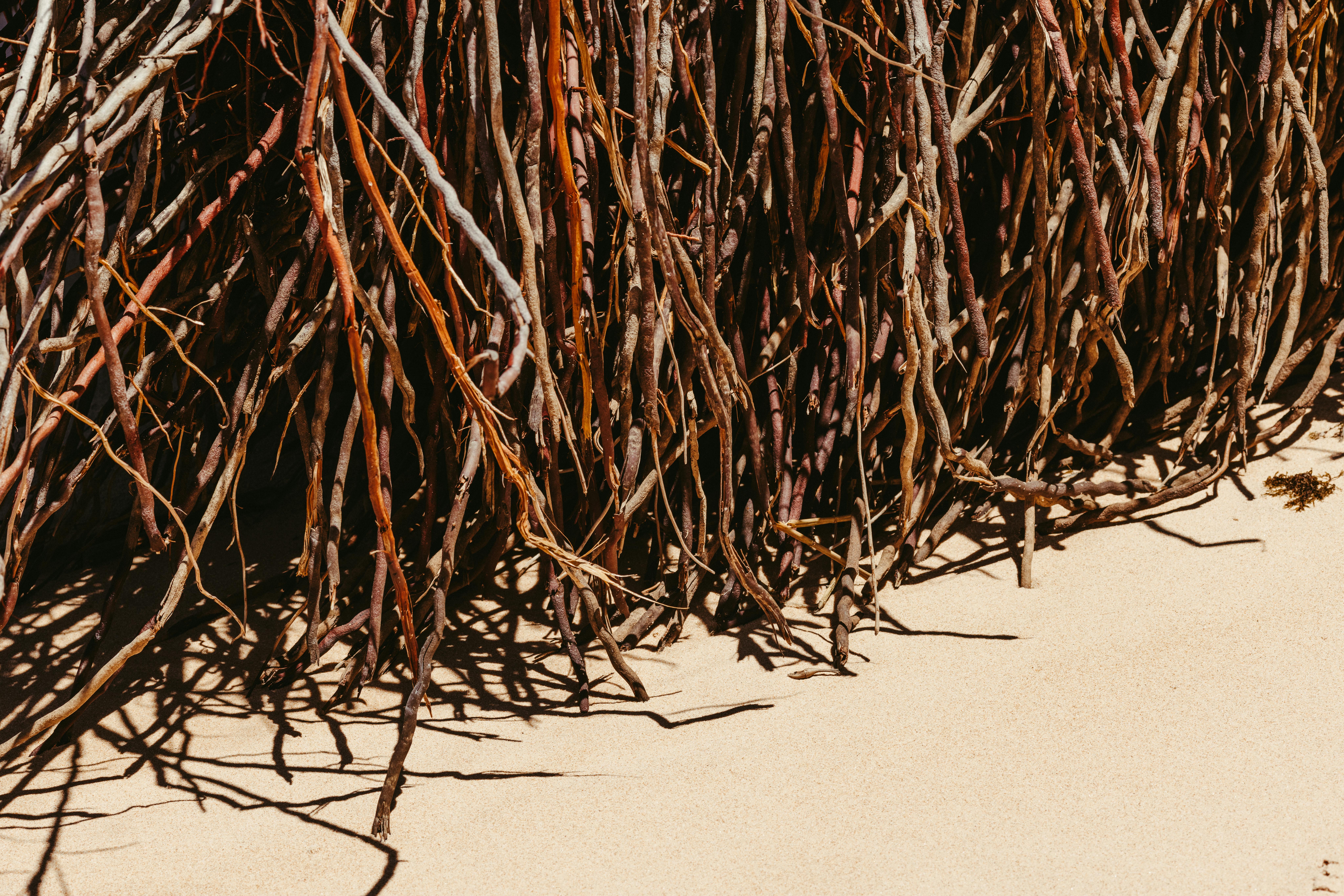 бесплатная Бесплатное стоковое фото с абстрактный, берег, берег моря Стоковое фото