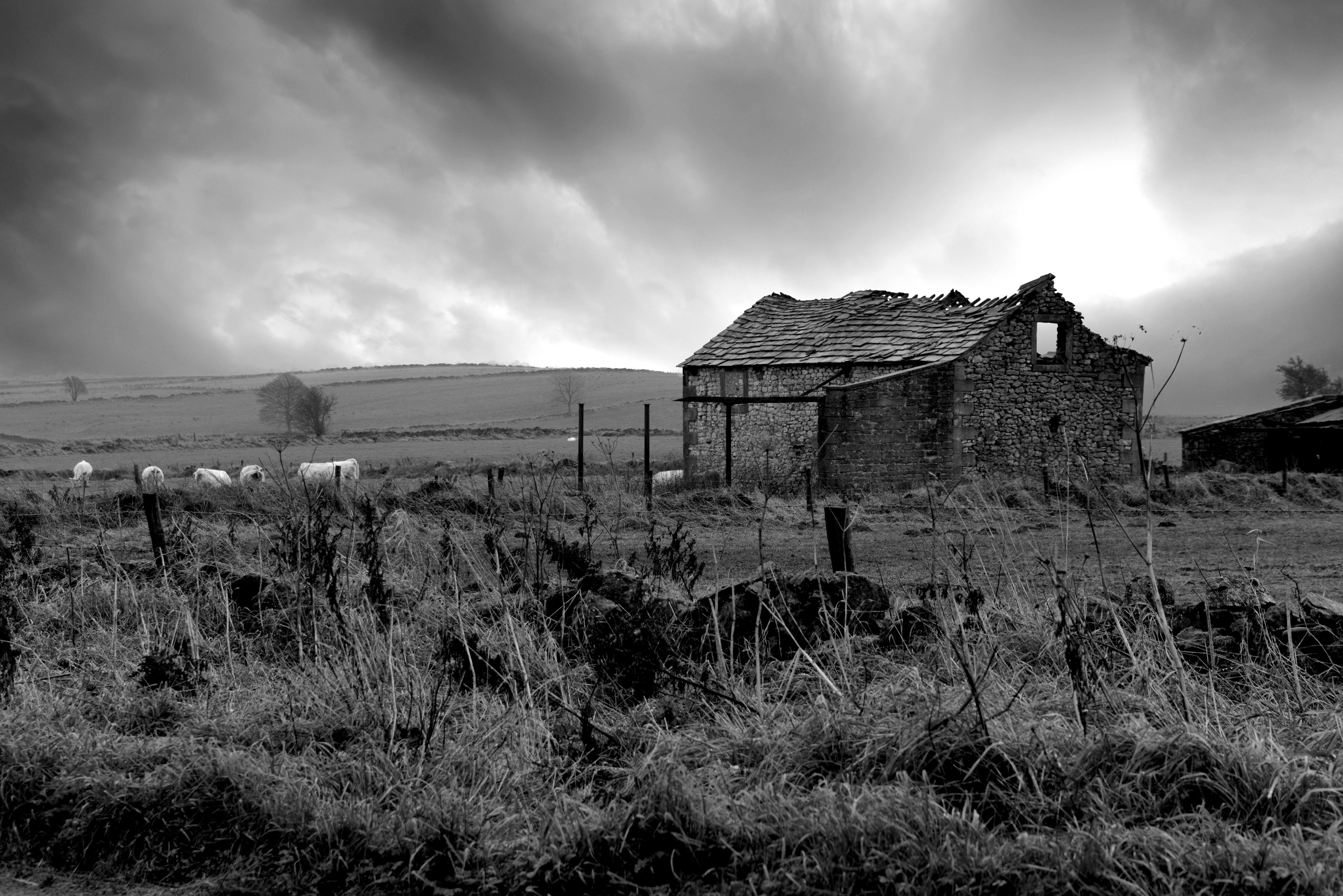 Abandoned Stone Barn in Wintry Rural Landscape · Free Stock Photo