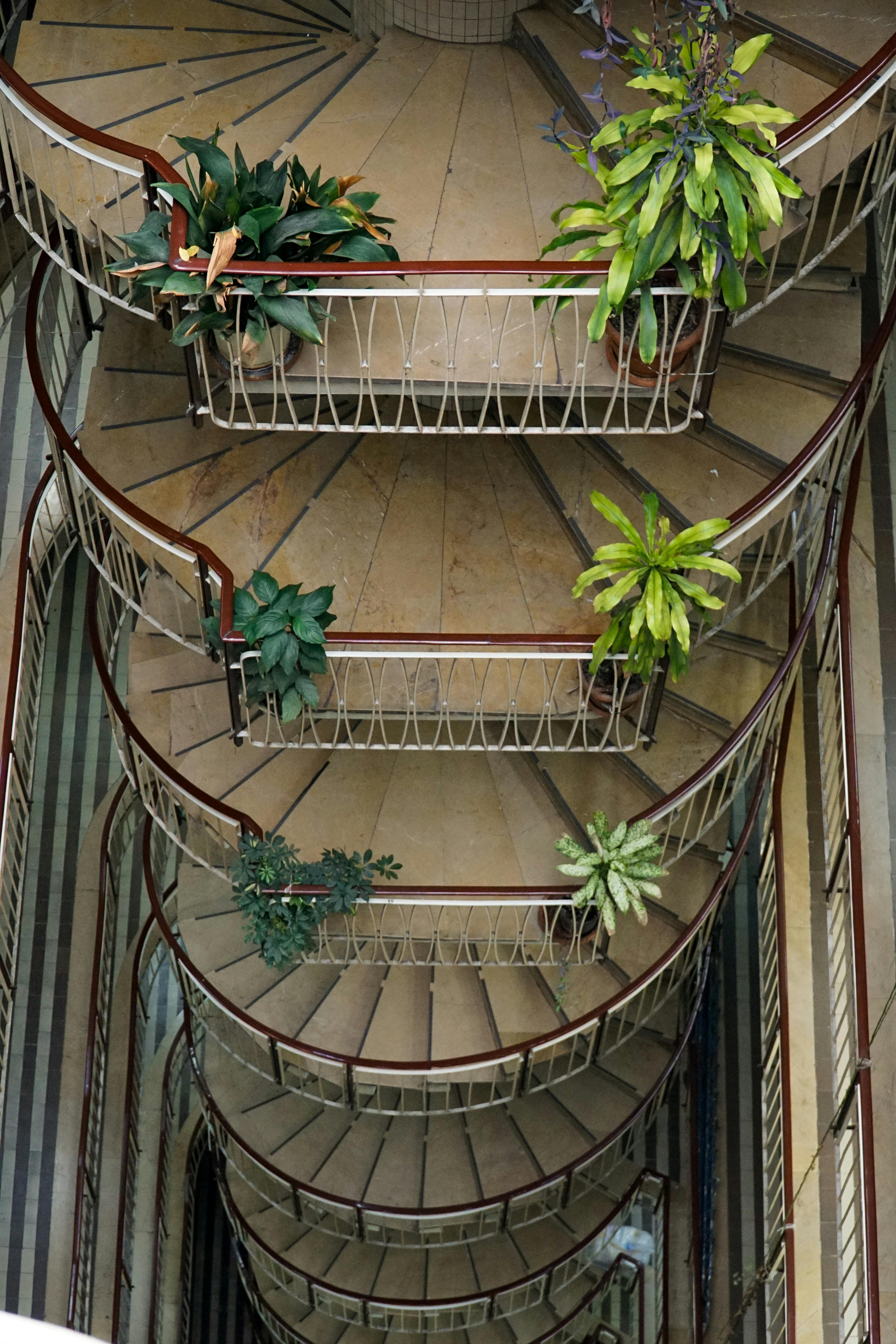 無料 鮮やかな緑の植物で飾られた螺旋階段の空中写真。 写真素材