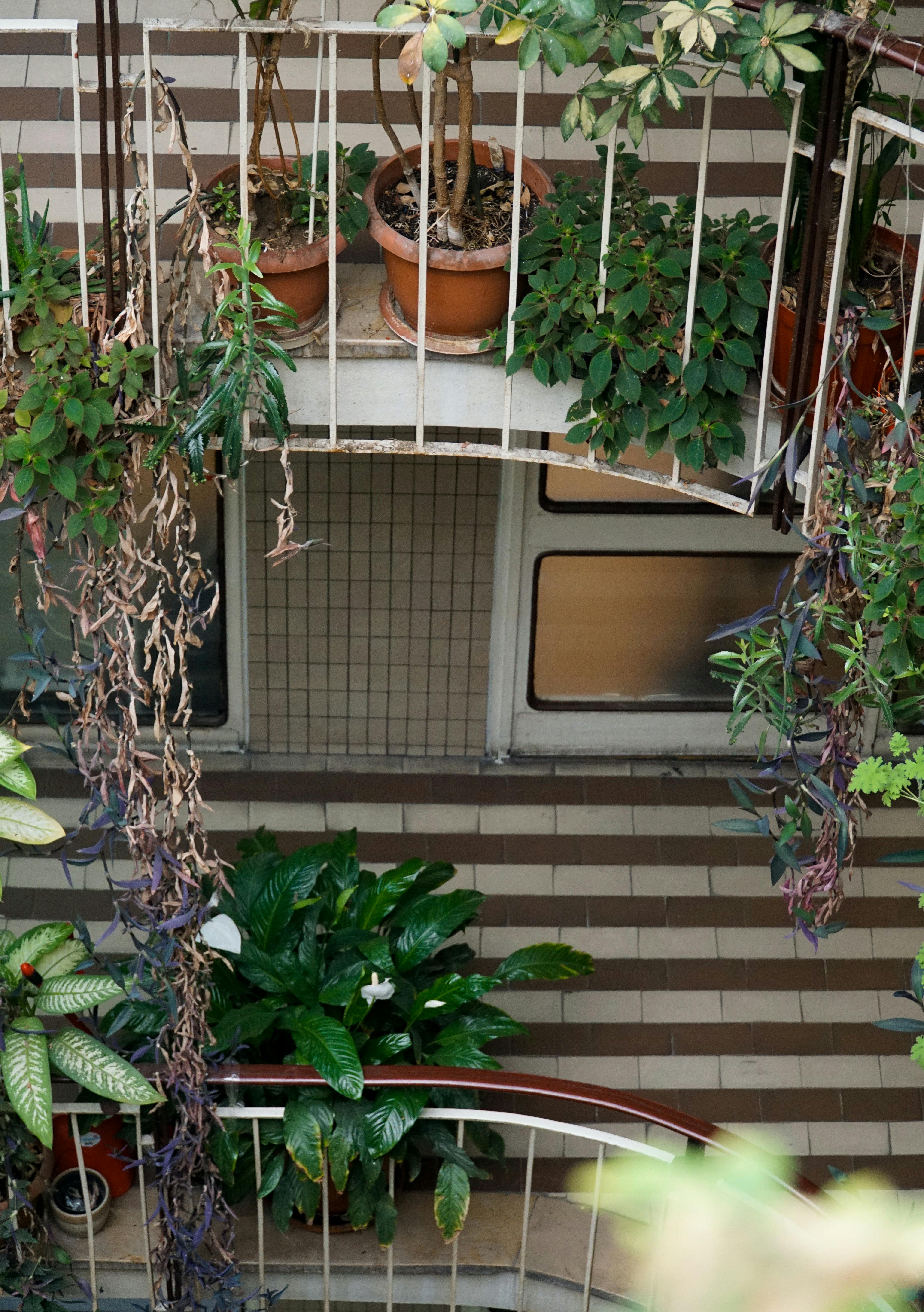 無料 ＃屋内, アパート, アパートのバルコニーの無料の写真素材 写真素材