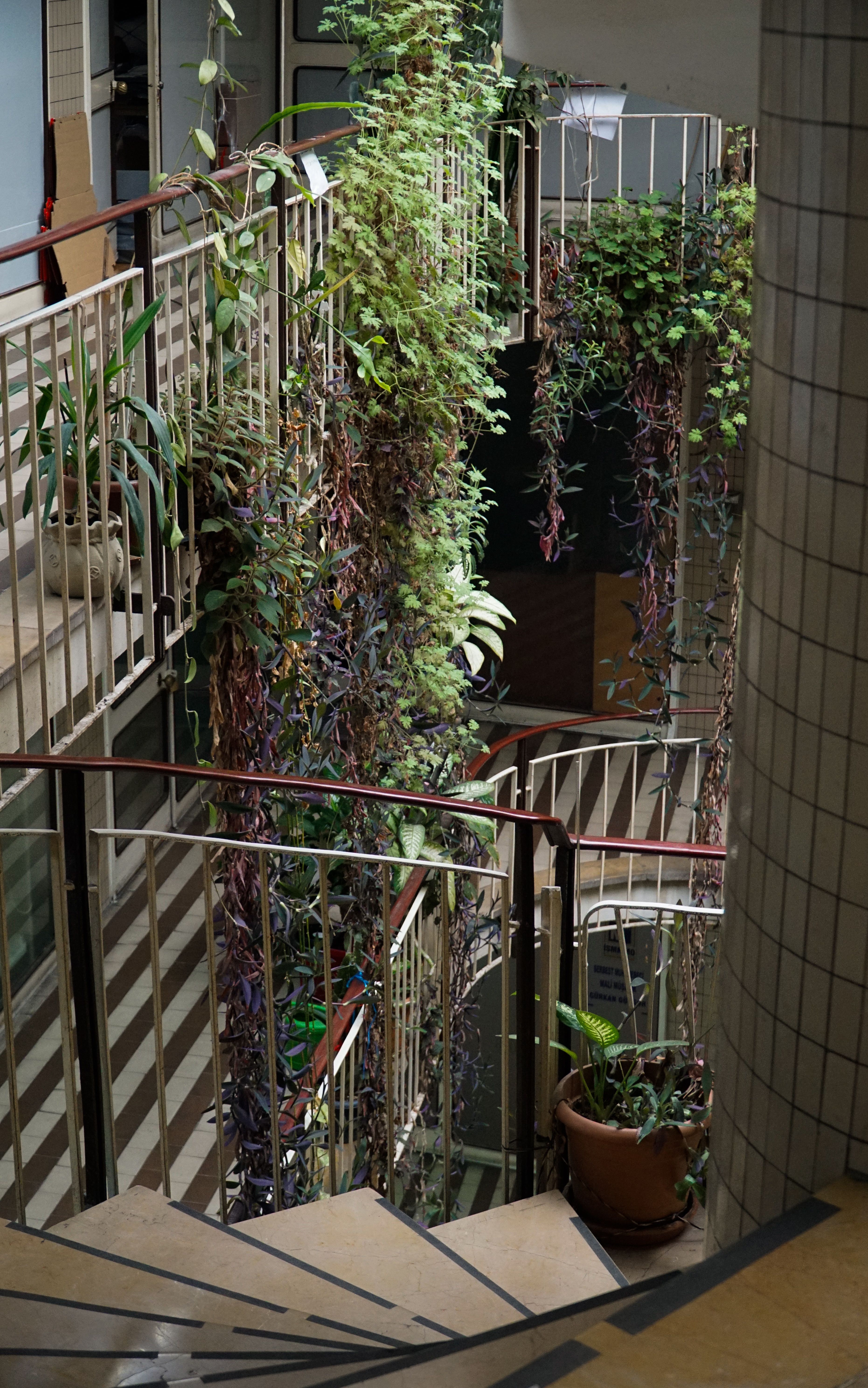 Indoor stairwell with lush vertical garden featuring cascading plants and railings.