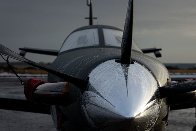 Photo by Joerg Mangelsen on Pexels Photo by Joerg Mangelsen on Pexels