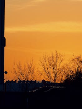 A beautiful silhouette of trees against a vibrant sunset sky in Mie, Japan, capturing nature's tranquility.