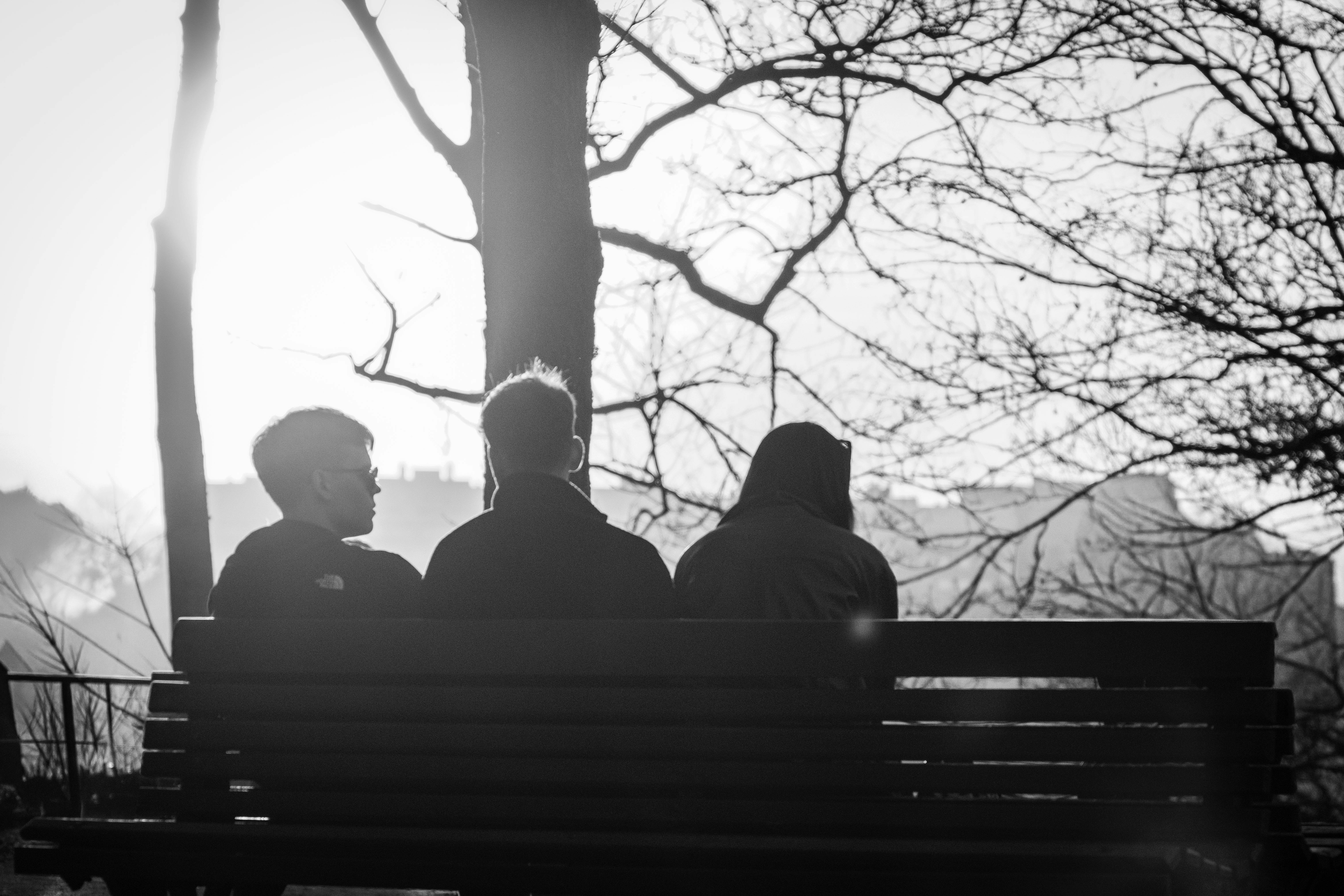 Kostenlos Kostenloses Stock Foto zu abend, äste, balance Stock-Foto