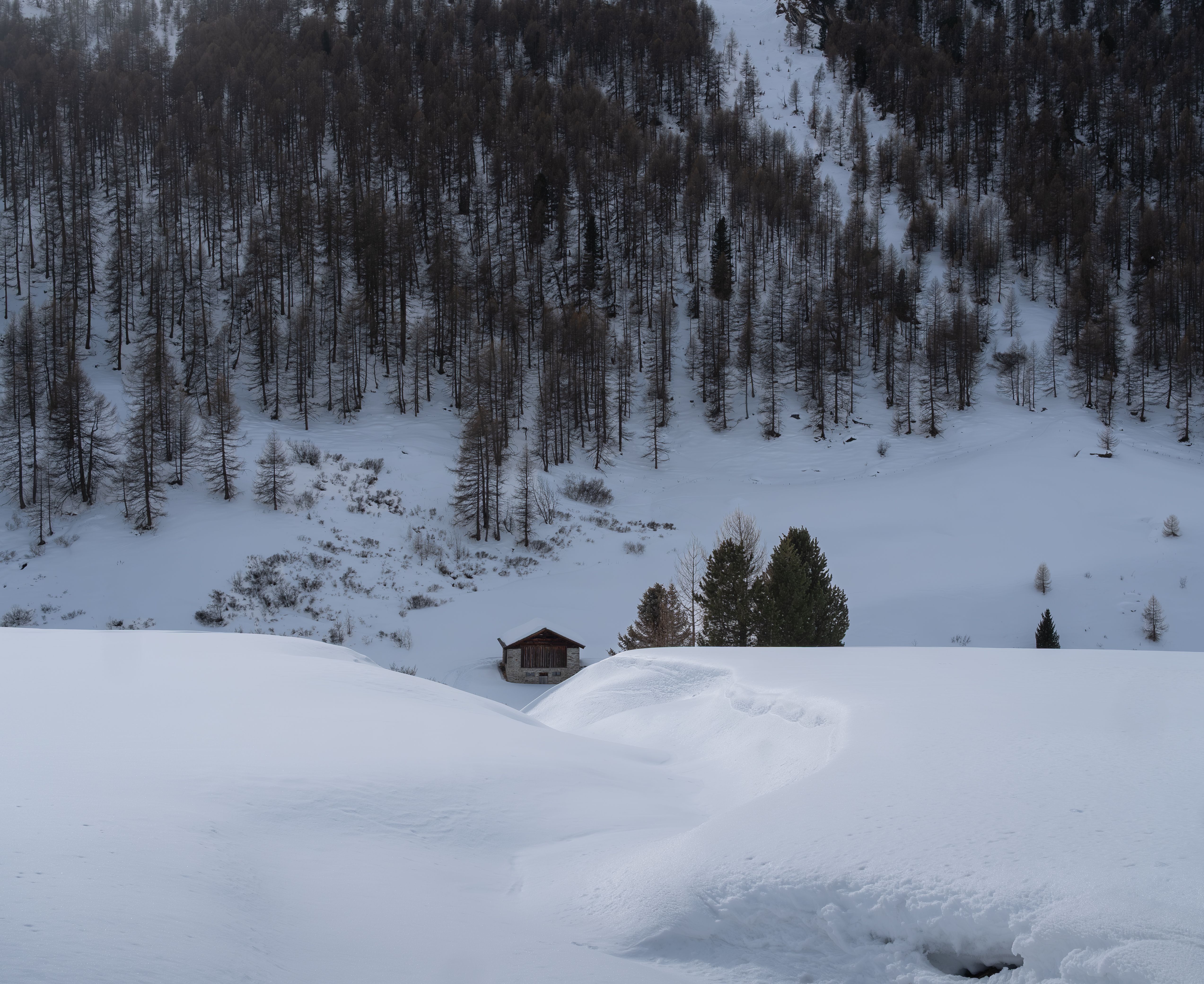 Cozy Cabin in Snowy Alpine Landscape · Free Stock Photo