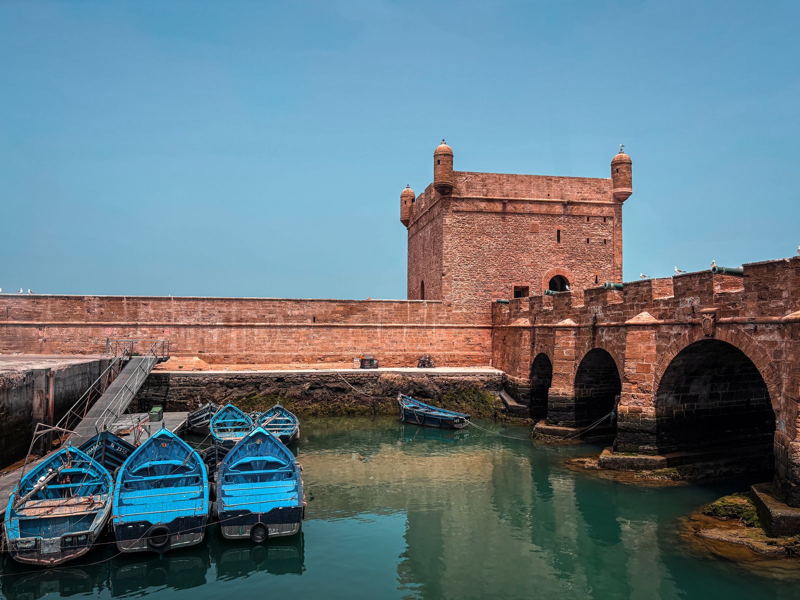 Marrakech to Essaouira trip arriving at the historic fishing port in Essaouira
