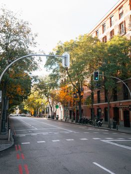 Quiet urban street lined with trees and buildings in autumn.