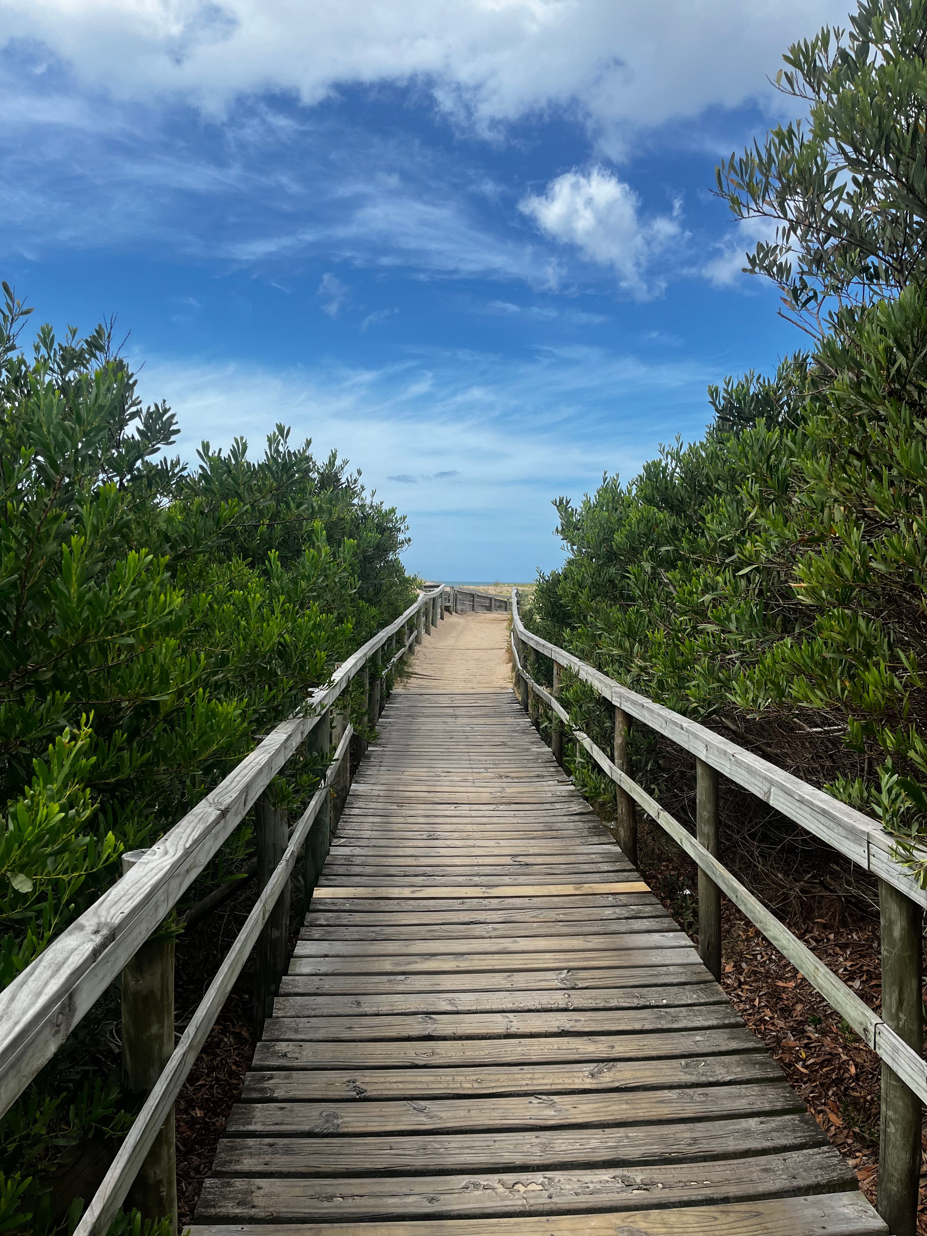 Scenic Coastal Boardwalk Leading to the Beach · Free Stock Photo