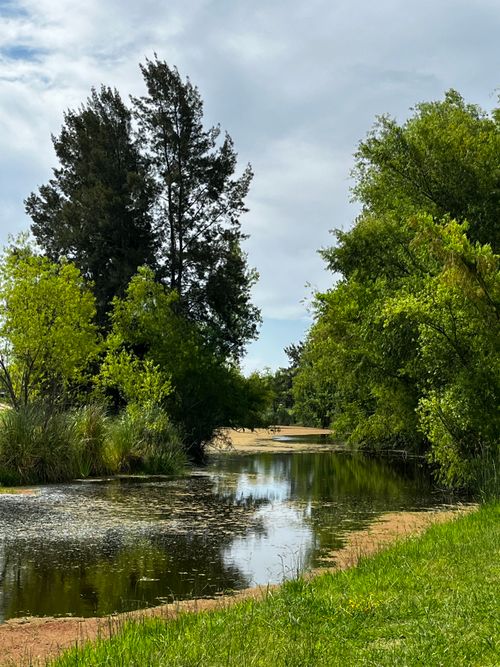 Free A serene river scene featuring lush greenery and calm waters under a summer sky. Stock Photo