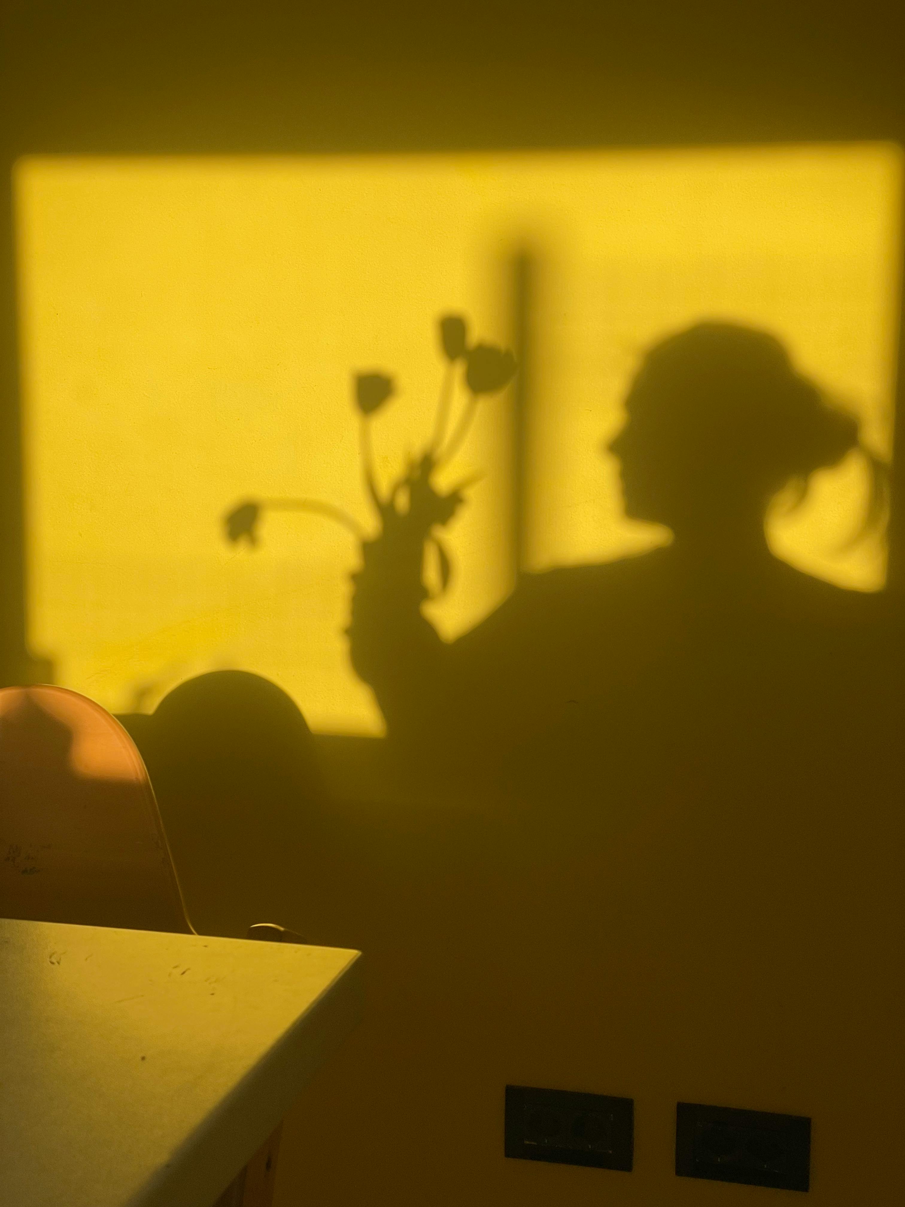 Gratis Silueta de sombra artística de una persona que sostiene flores proyectadas sobre una pared amarilla. Foto de stock