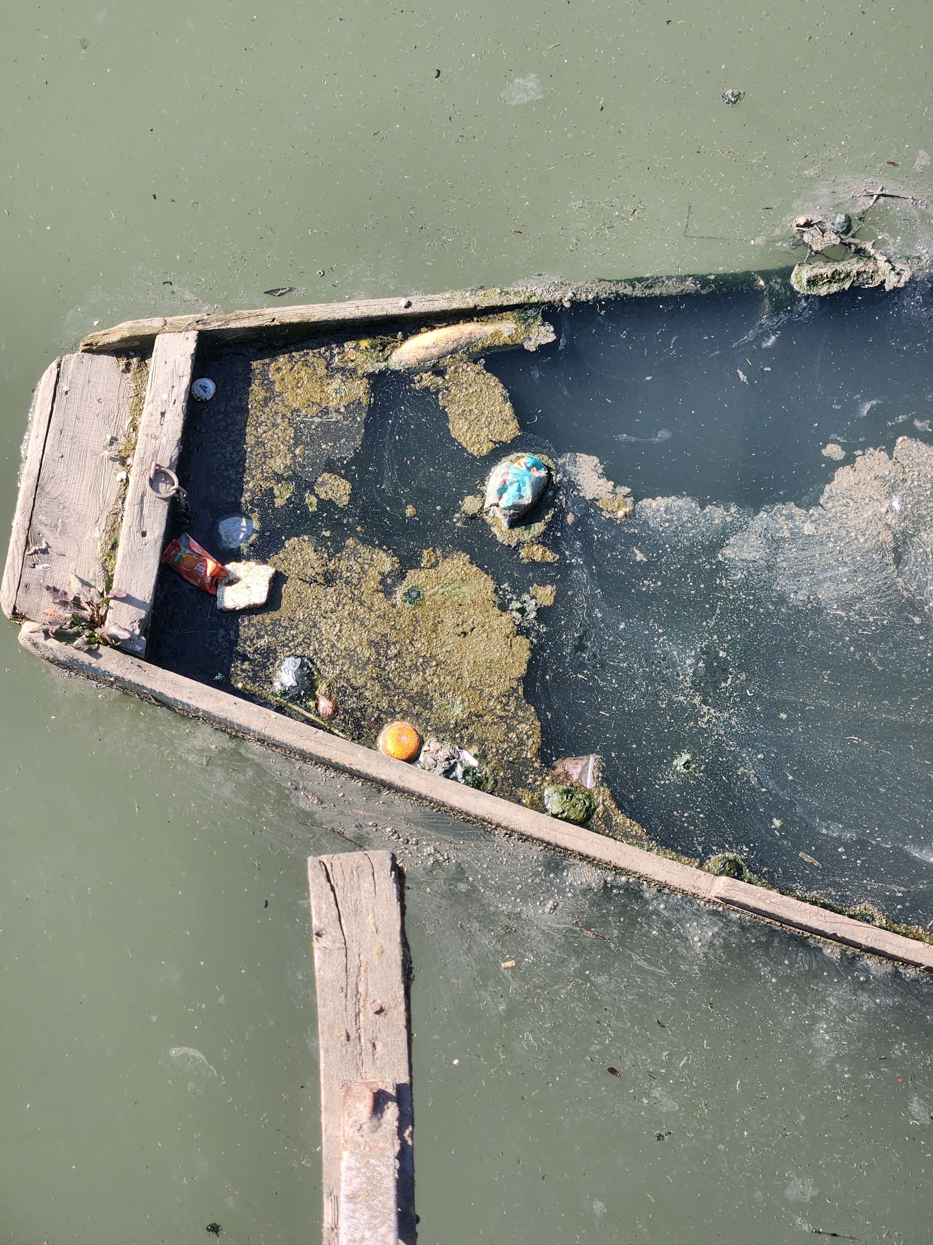 Contaminación industrial y sus consecuencias en la calidad del agua