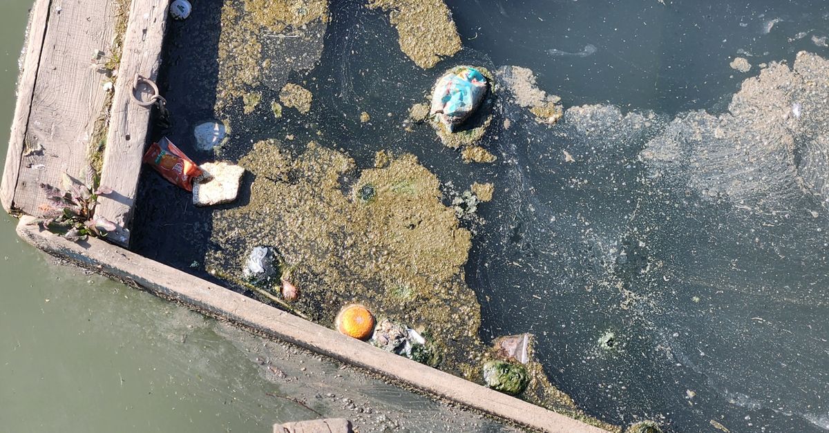 Contaminación industrial y sus consecuencias en la calidad del agua Contaminación industrial y sus consecuencias en la calidad del agua