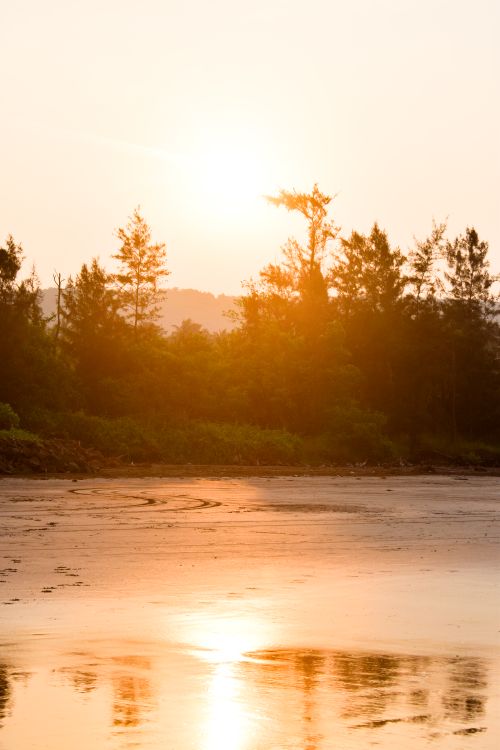 Free A tranquil sunset over a calm beach with forested hills in the background, creating a warm and peaceful ambiance. Stock Photo