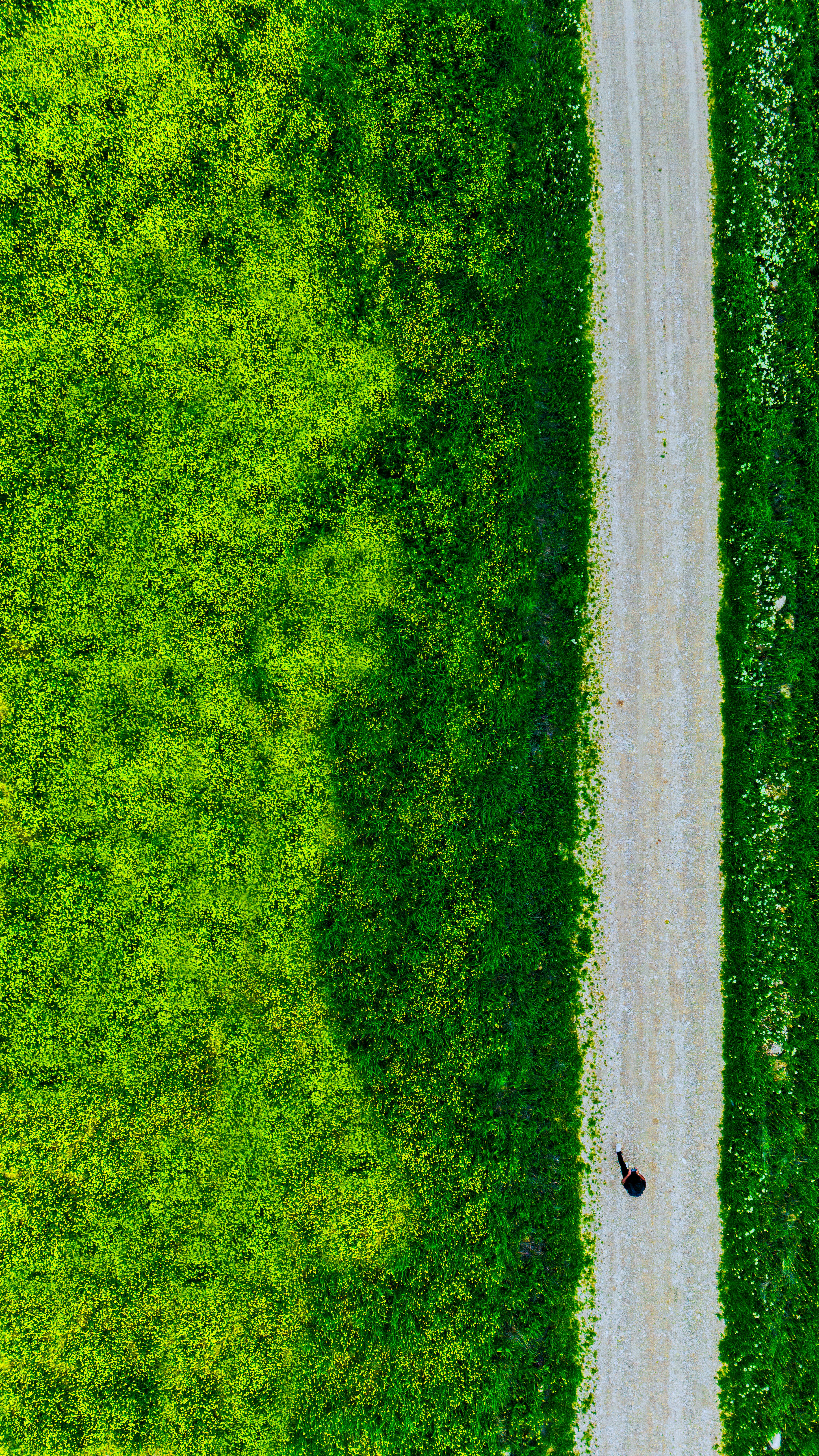 無料 トルコ、アドゥヤマンの活気に満ちた春の風景の中の田舎道に立つ孤独な人物の空中写真。 写真素材