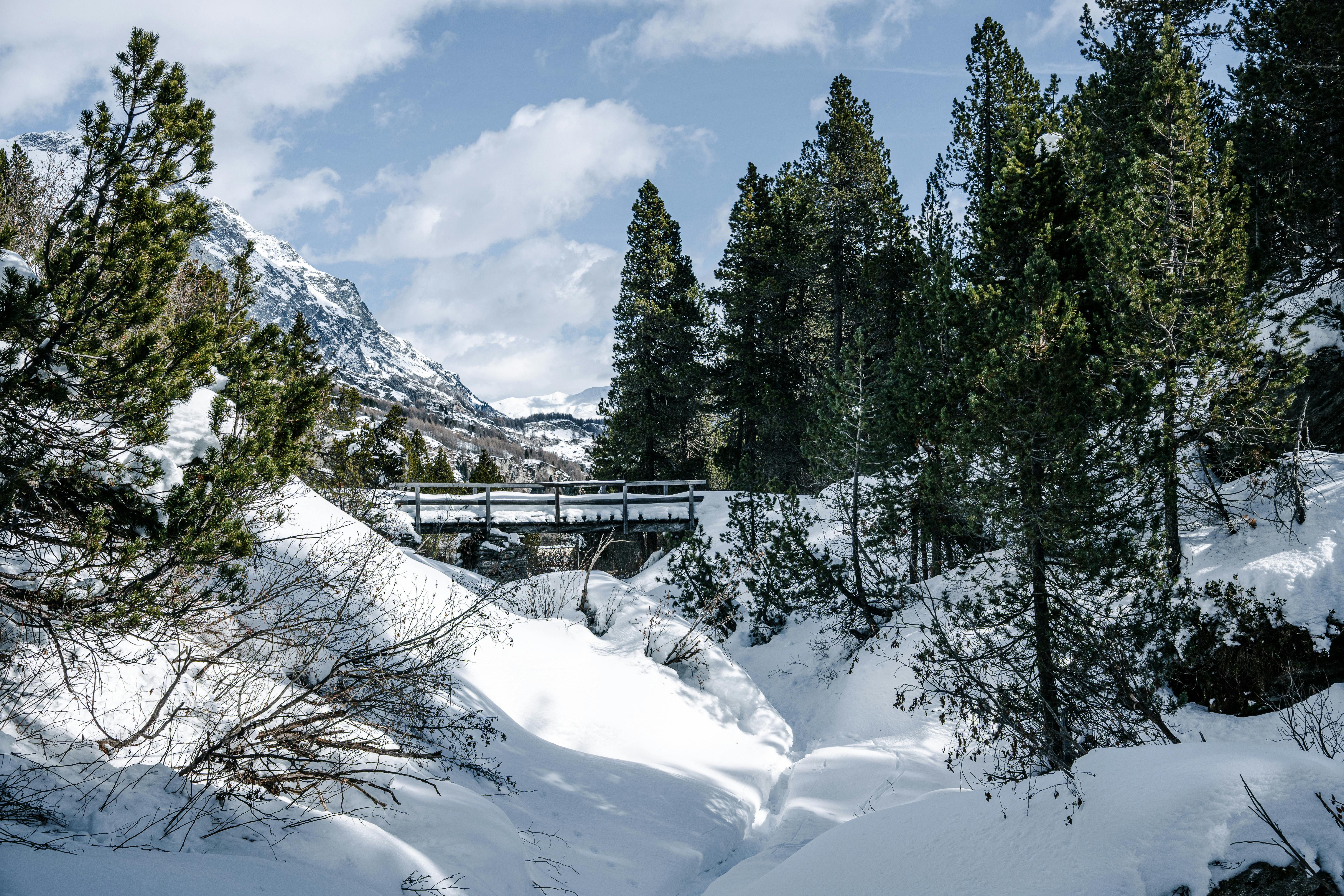 бесплатная Живописный зимний пейзаж: заснеженные горы и сосны у деревянного моста. Стоковое фото