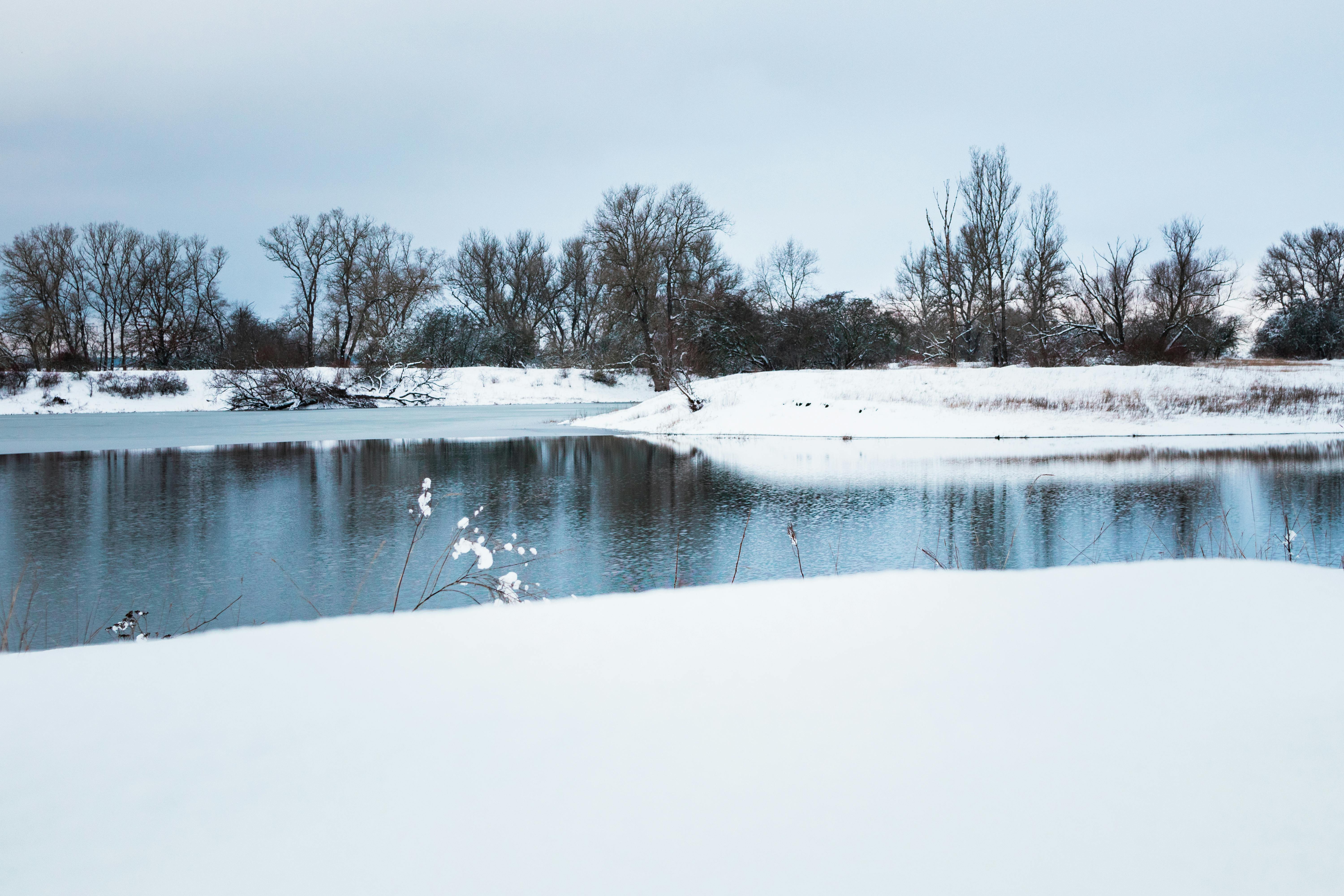 Gratis Foto stok gratis air, alam, alam liar Foto Stok