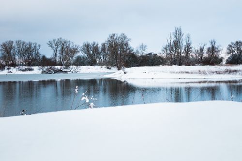 Free A tranquil winter scene of a snow-covered riverbank with bare trees reflecting in the water. Stock Photo