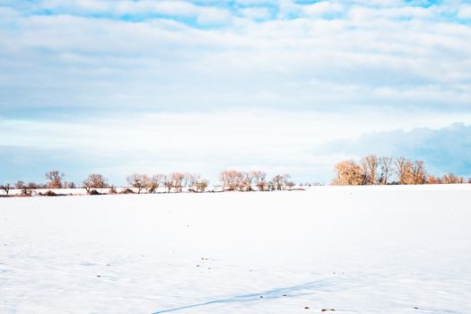 Beautiful winter landscape featuring snow-covered fields and bare trees under a bright sky.