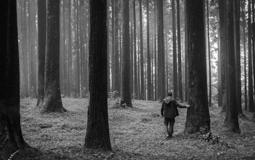 Photo En Niveaux De Gris D'un Homme Dans Une Forêt