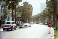 Hanoi Boulevard with Palm Trees and Vehicles