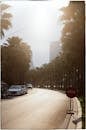 Sunlit Street with Palm Trees in Hanoi, Vietnam
