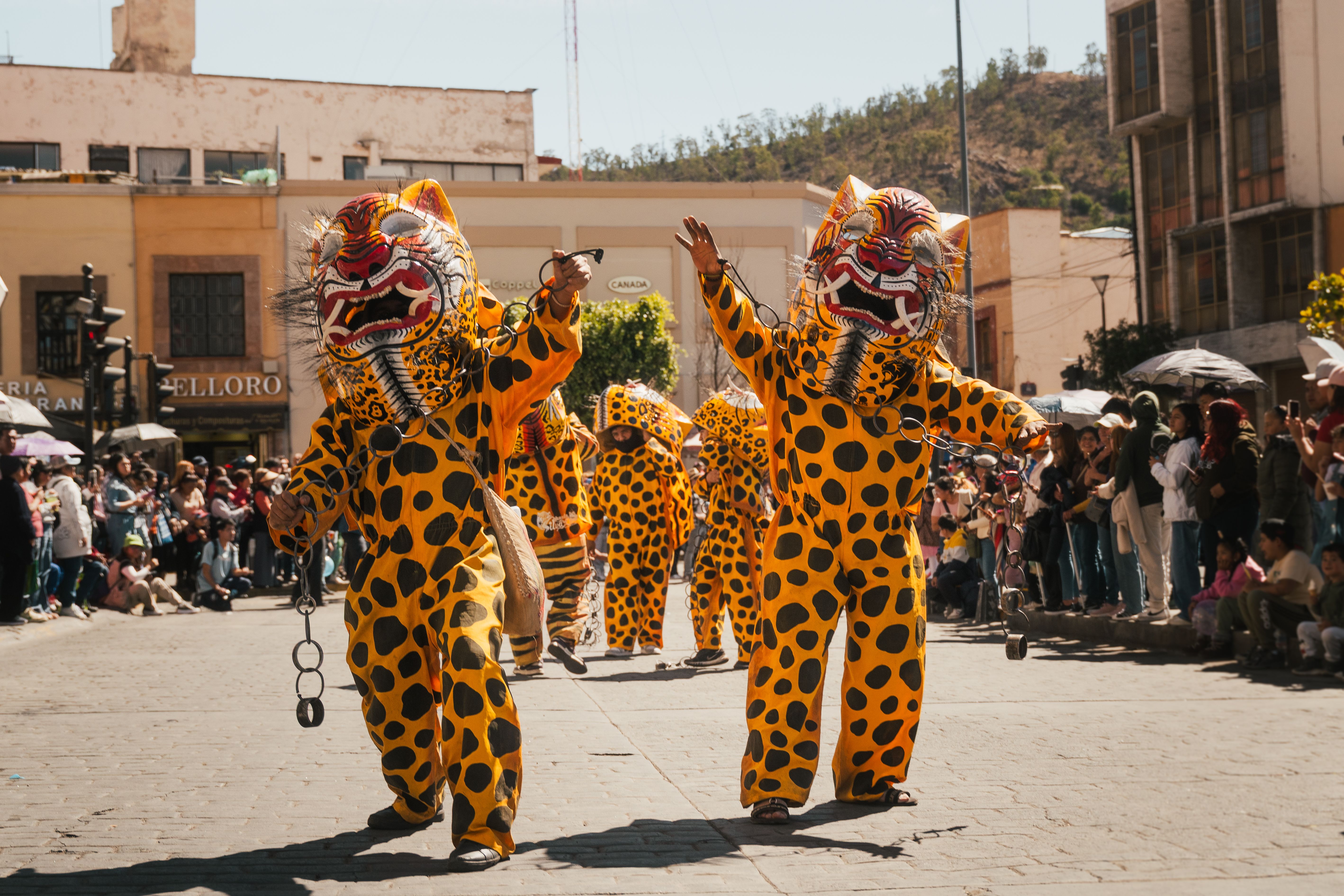 Colorful parade with performers in jaguar costumes during a festival in Pachuca de Soto, Mexico.