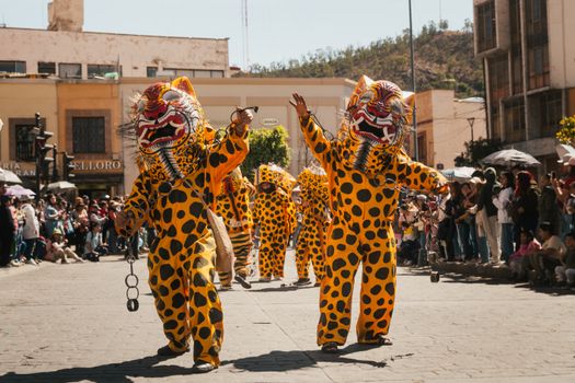 Colorful parade with performers in jaguar costumes during a festival in Pachuca de Soto, Mexico.
