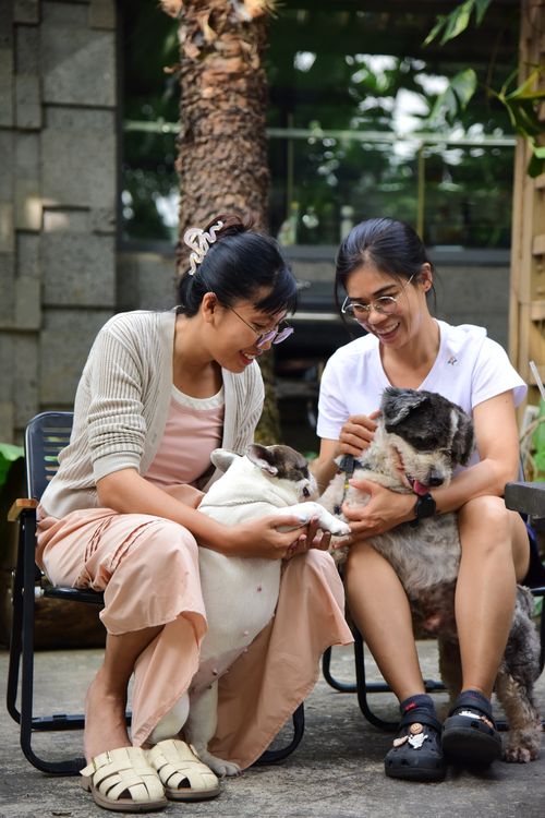 Free Two women sitting outside, happily playing with their dogs on a sunny day. Stock Photo