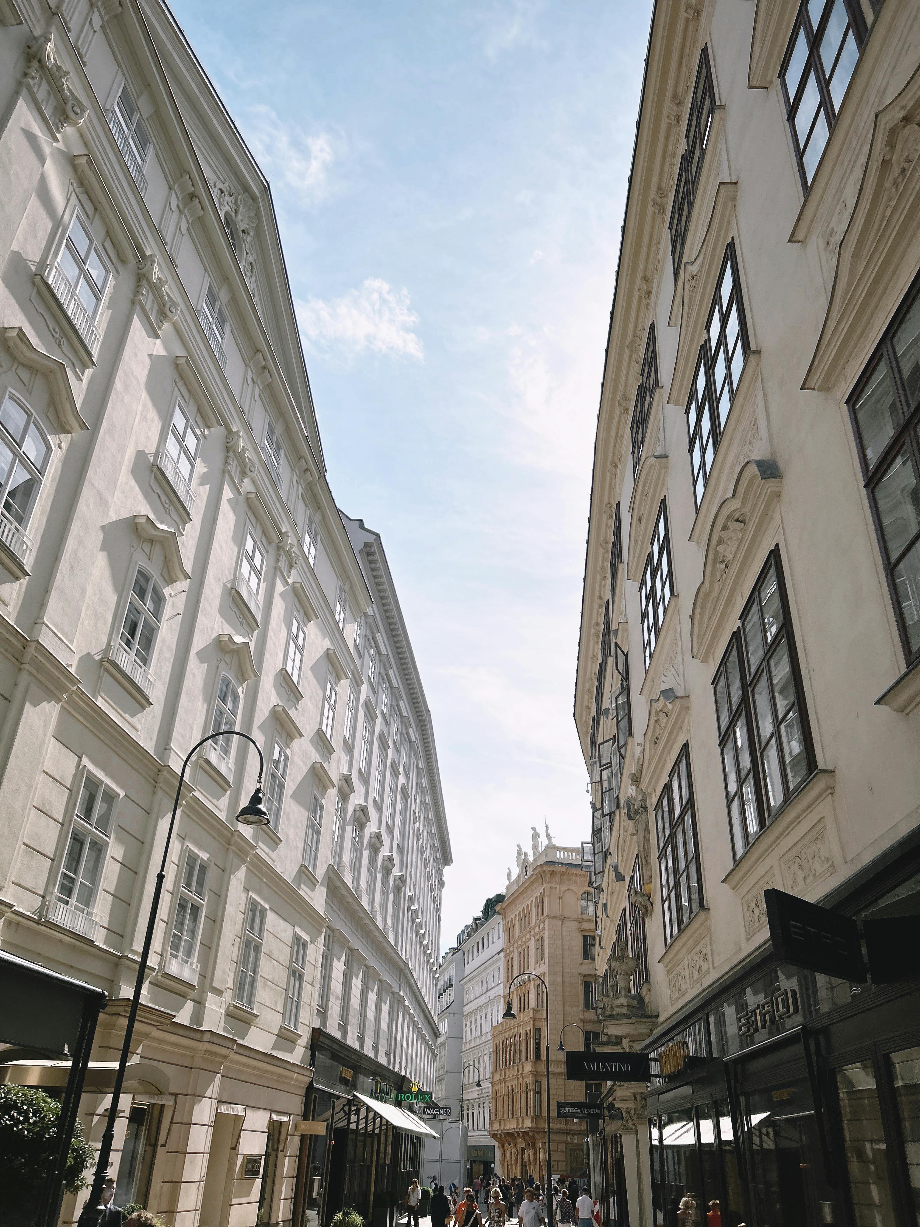 無料 歴史的建造物に囲まれた活気あるウィーンの通りの晴れた日 写真素材