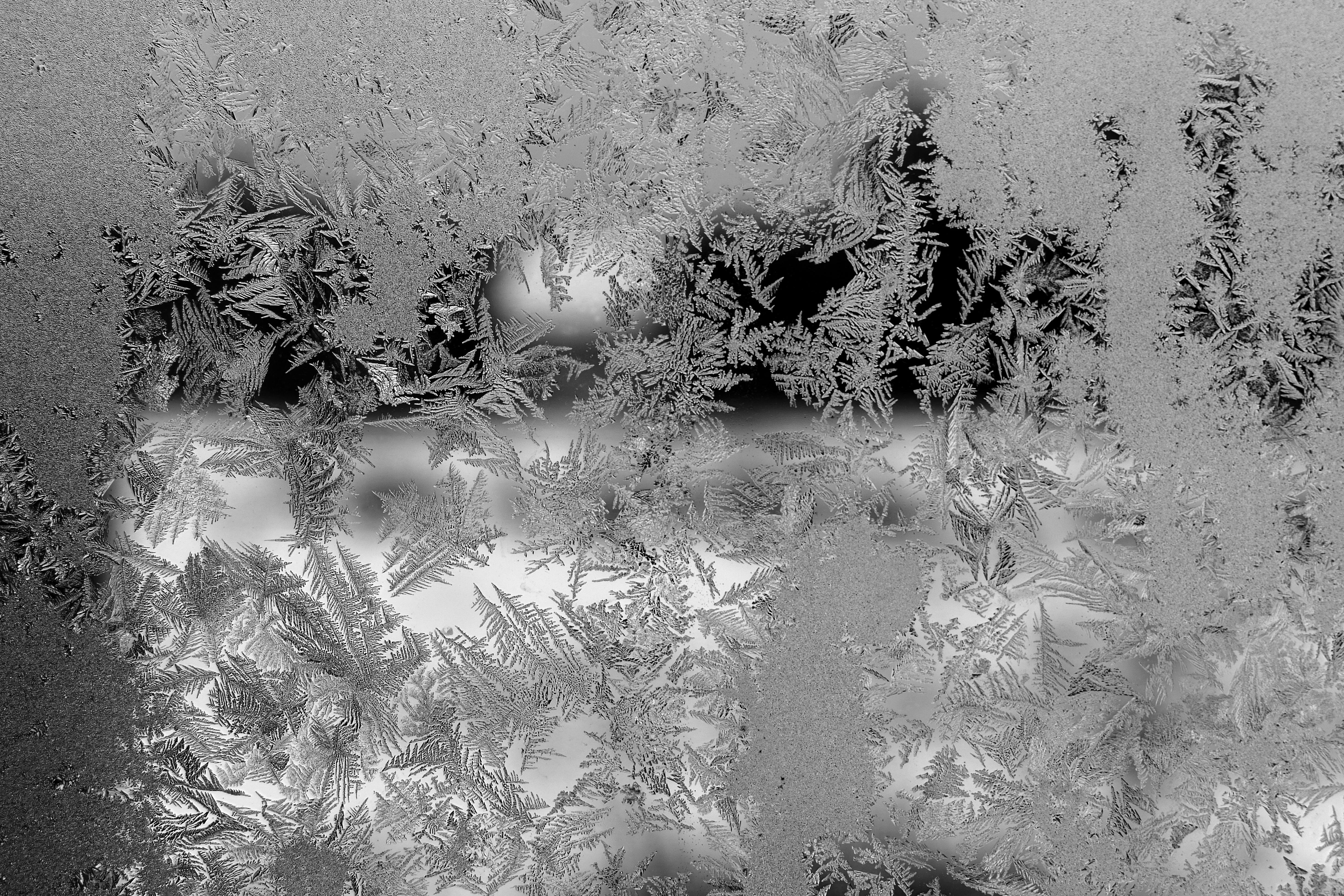 бесплатная Крупный план тонких узоров инея на окне, демонстрирующий замысловатые зимние орнаменты. Стоковое фото