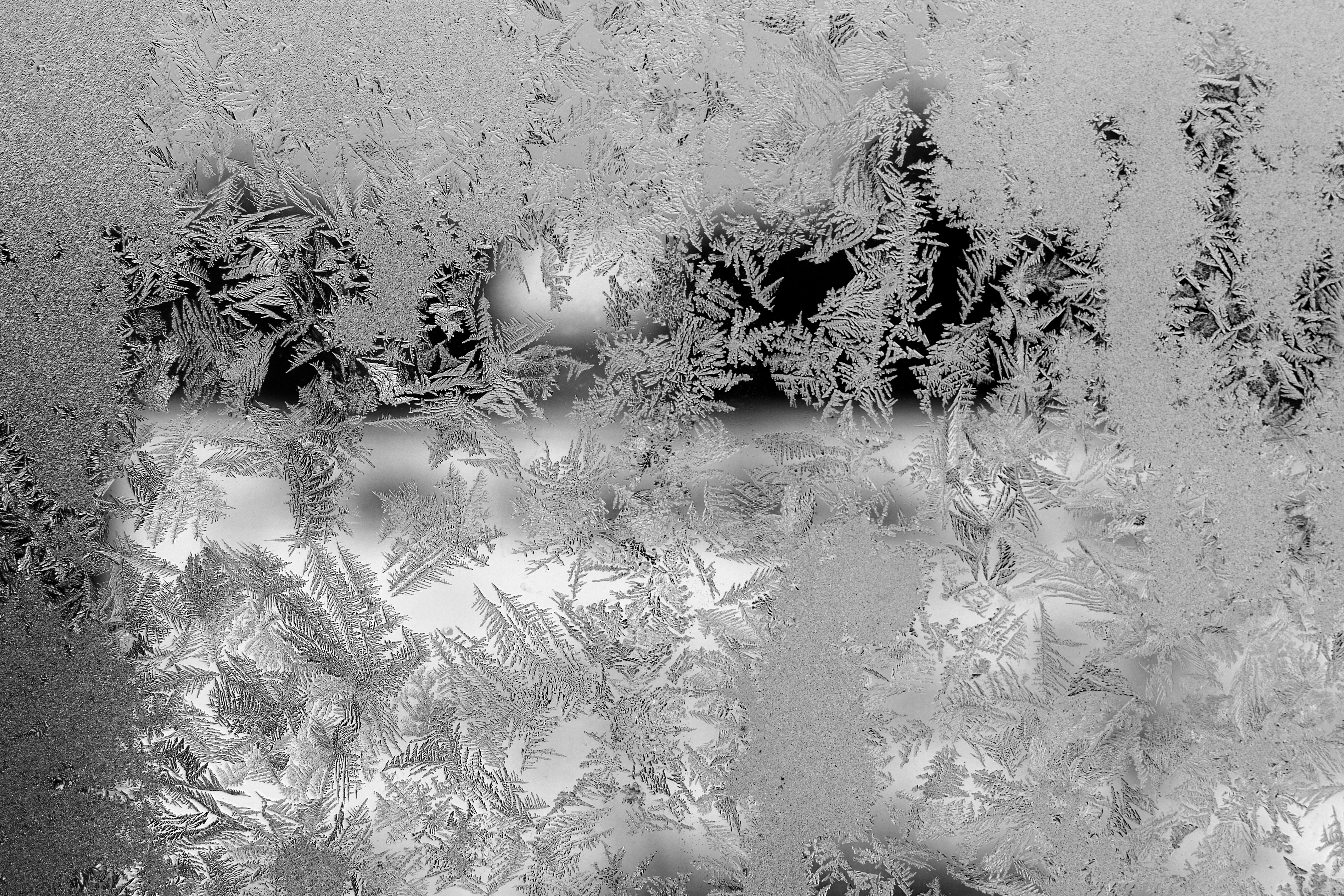 Intricate Patterns of Frost on Window Pane · Free Stock Photo