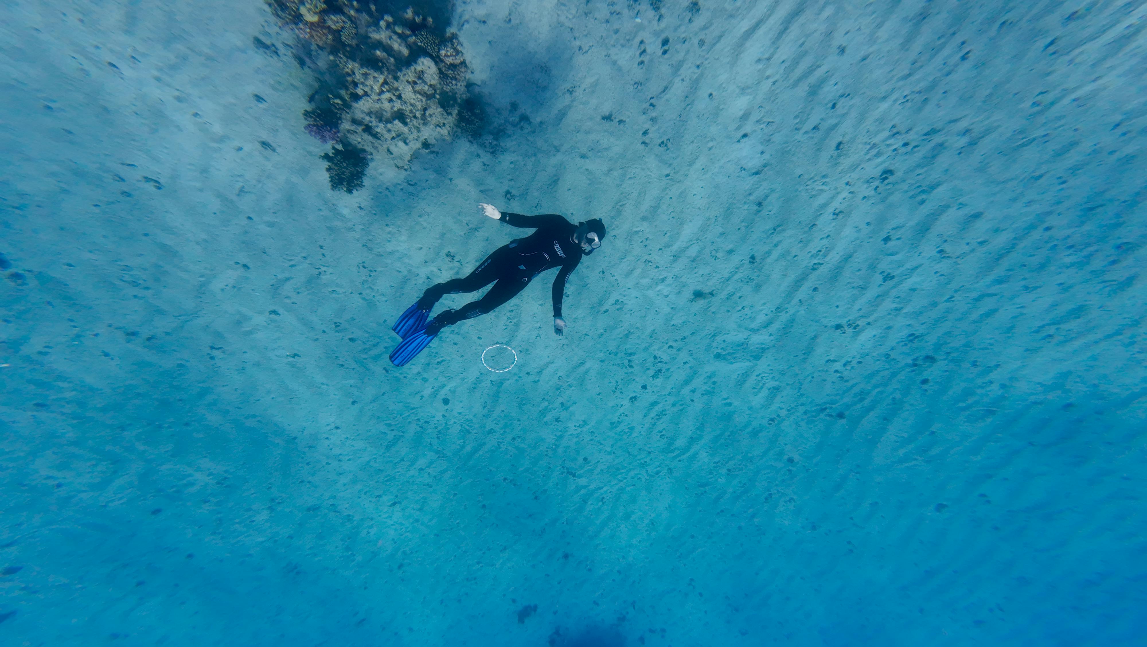 Gratis Seorang penyelam dengan perlengkapan lengkap menjelajahi terumbu karang yang berwarna-warni di perairan biru jernih, memperlihatkan kehidupan laut. Foto Stok