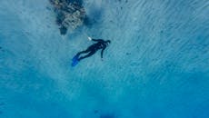 Underwater Diver Exploring Vibrant Coral Reef