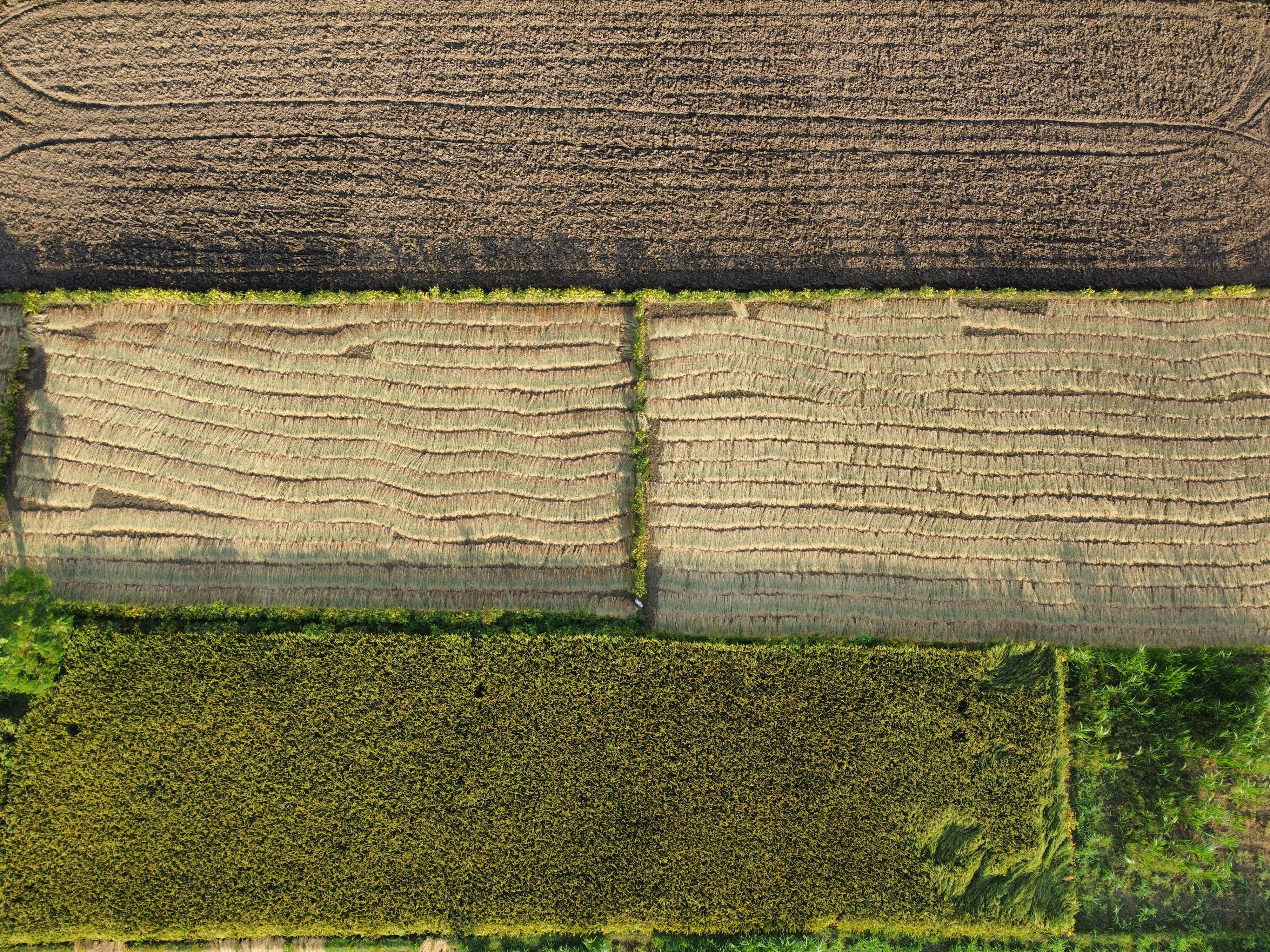 Termin wymiany azbestowych dachów w gospodarstwach przesunięty do 1 czerwca