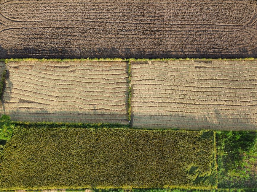 Aerial landscape showcasing varied agricultural fields during summer.