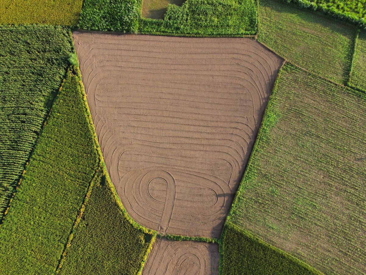 Vista aérea de diferentes parcelas agrícolas