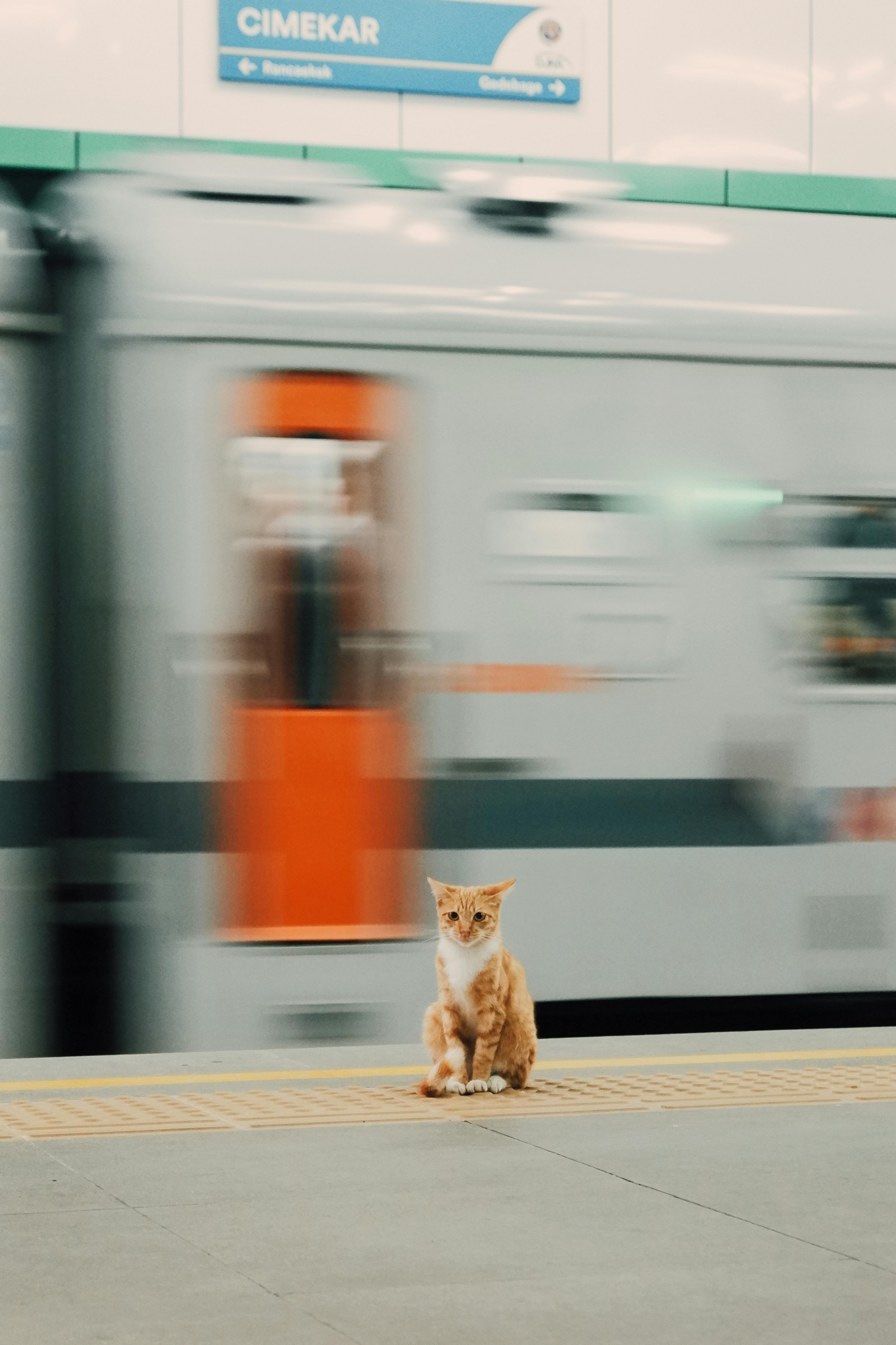 Community Building Strategy for Trust, Strong Relationships, and Stable Income