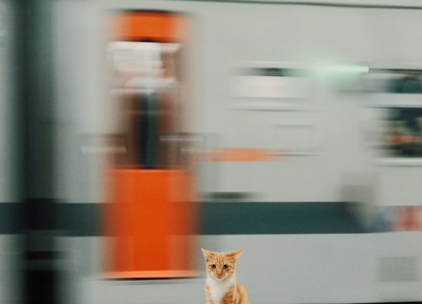 Community Building Strategy for Trust, Strong Relationships, and Stable Income