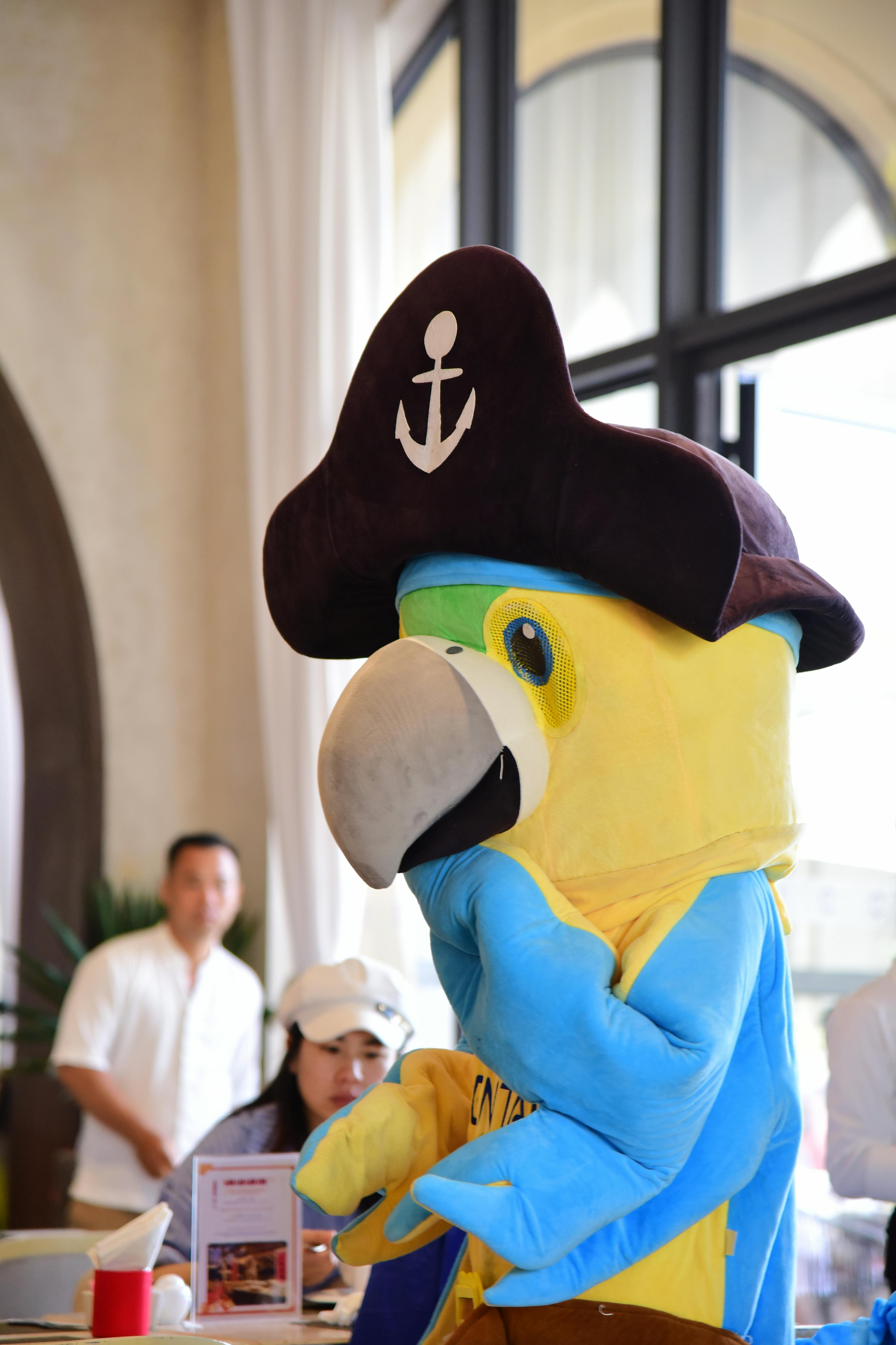 Gratis En farverig papegøjemaskot i pirattej underholder gæsterne ved et indendørs arrangement. Lagerfoto