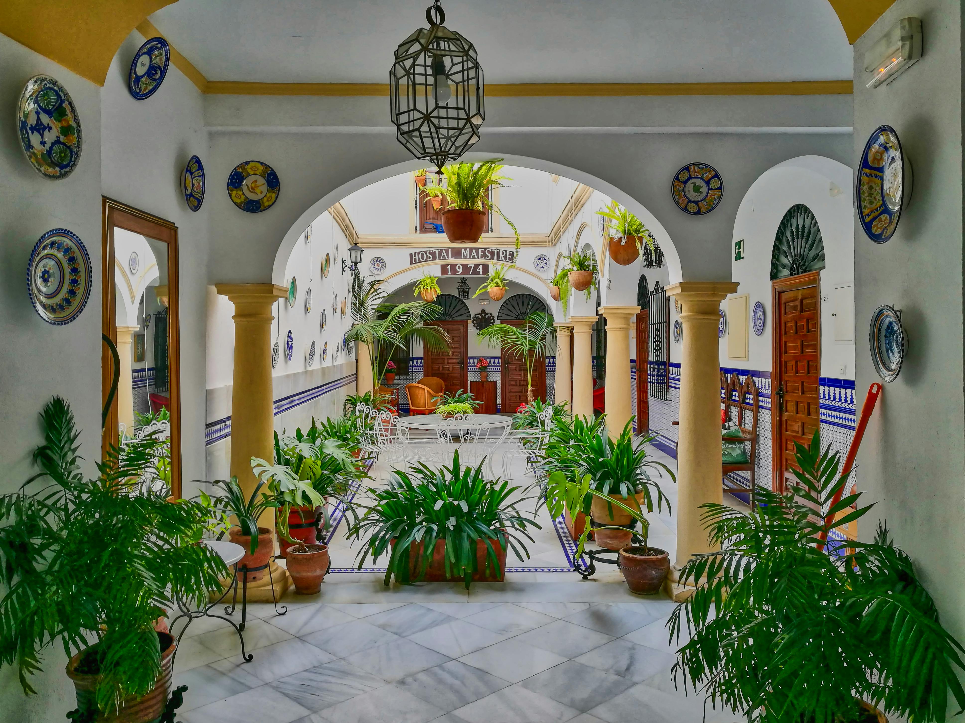 無料 スペインのコルドバにある、緑豊かな植物が生い茂る魅力的なアンダルシア風の中庭。伝統的なスペイン建築をとらえています。 写真素材