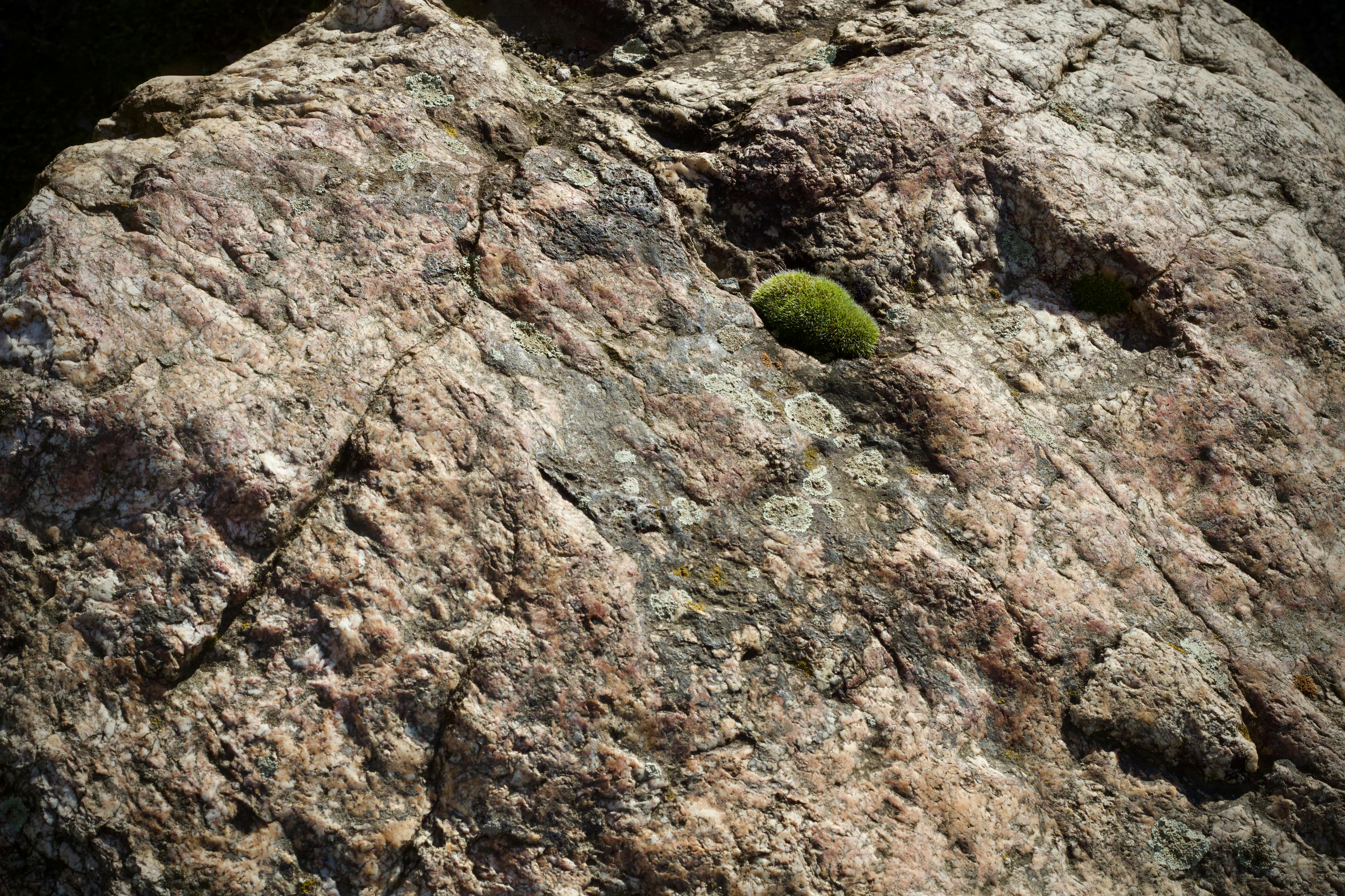 бесплатная Крупный план шероховатой скалистой поверхности с зелеными пятнами мха при дневном свете. Стоковое фото