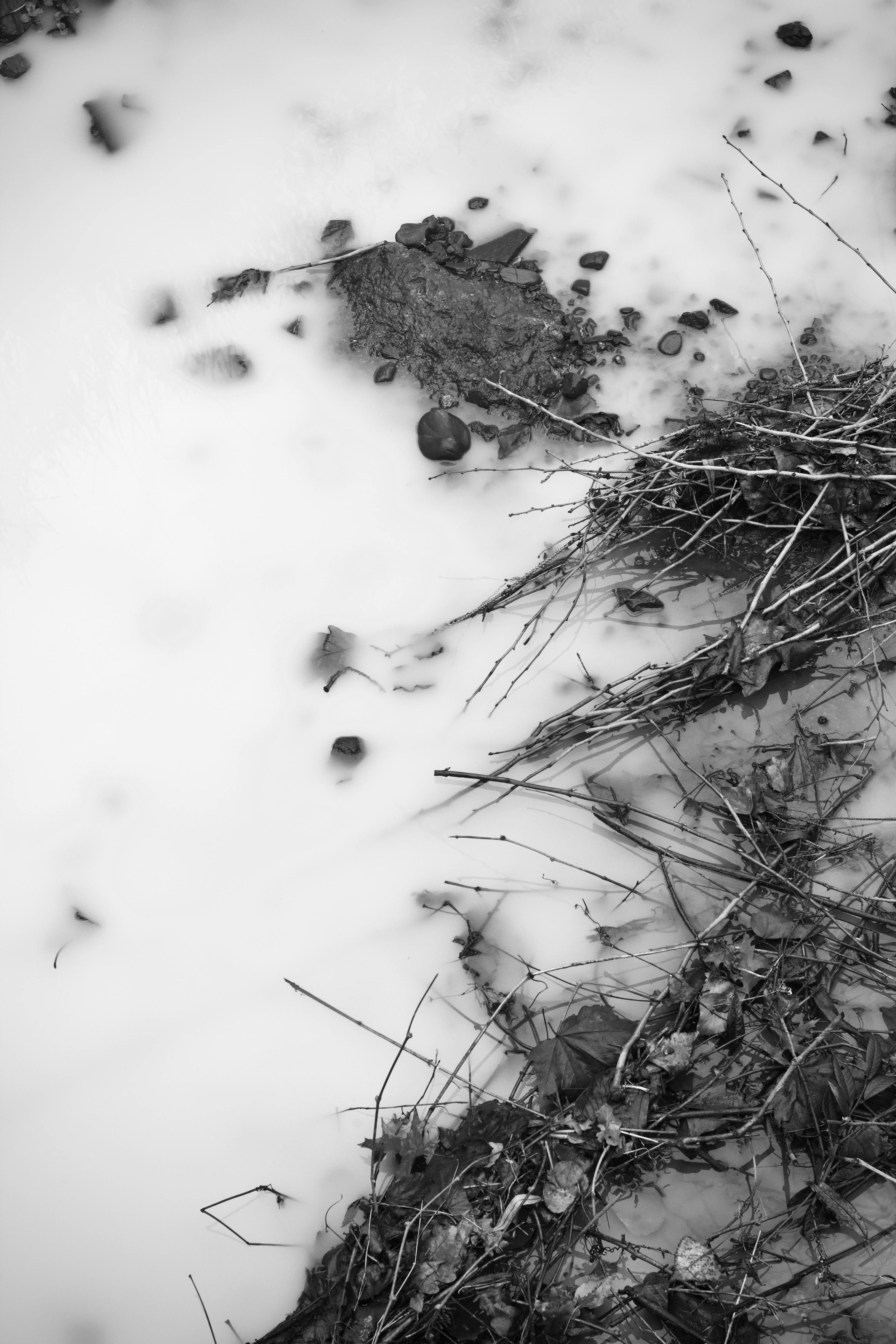 бесплатная Спокойный черно-белый снимок зимнего ручья, частично покрытого снегом и окруженного камнями и ветками. Стоковое фото