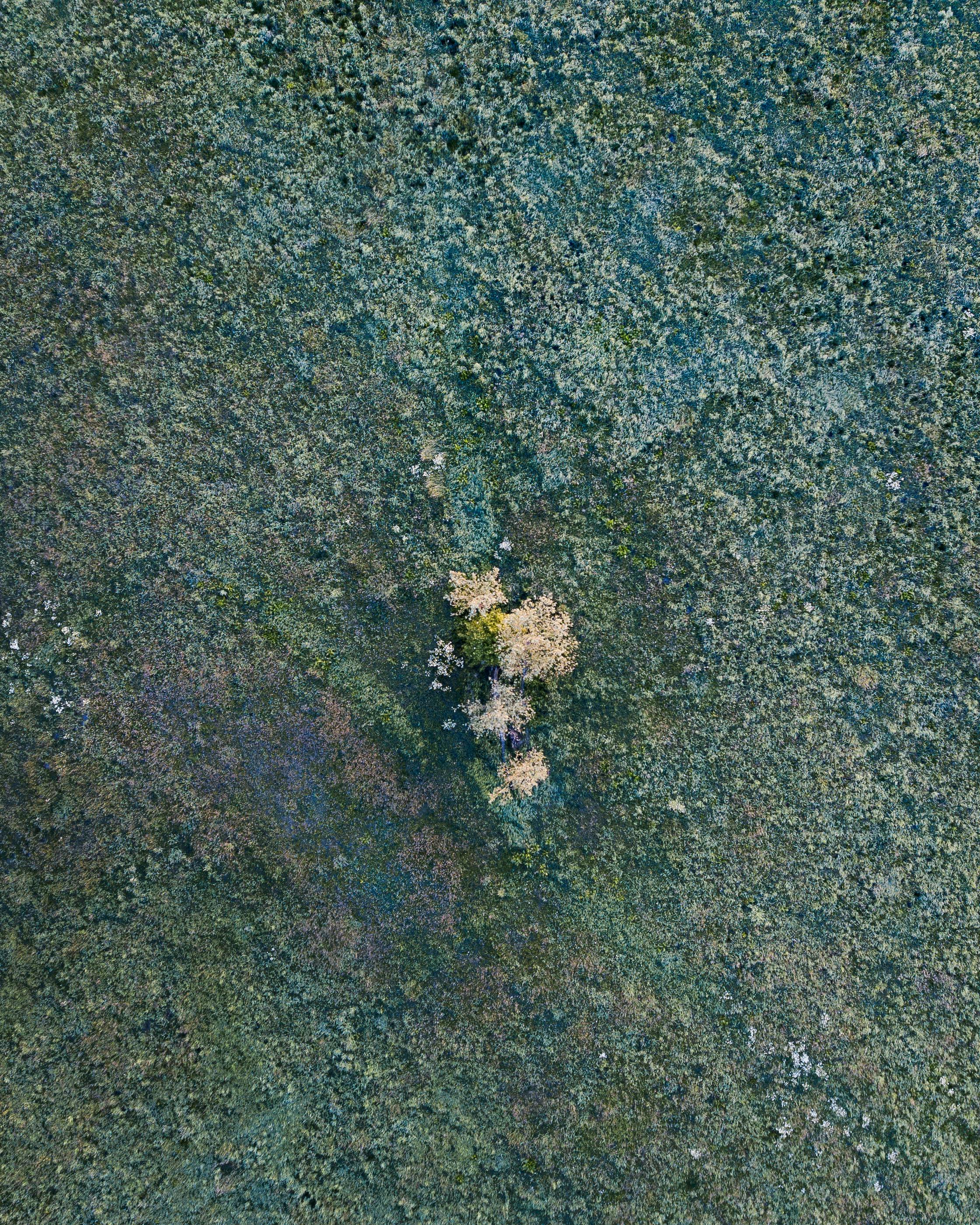 無料 ベトナムの自然の土の模様が織りなす質感のある風景を空中から撮影した写真です。 写真素材